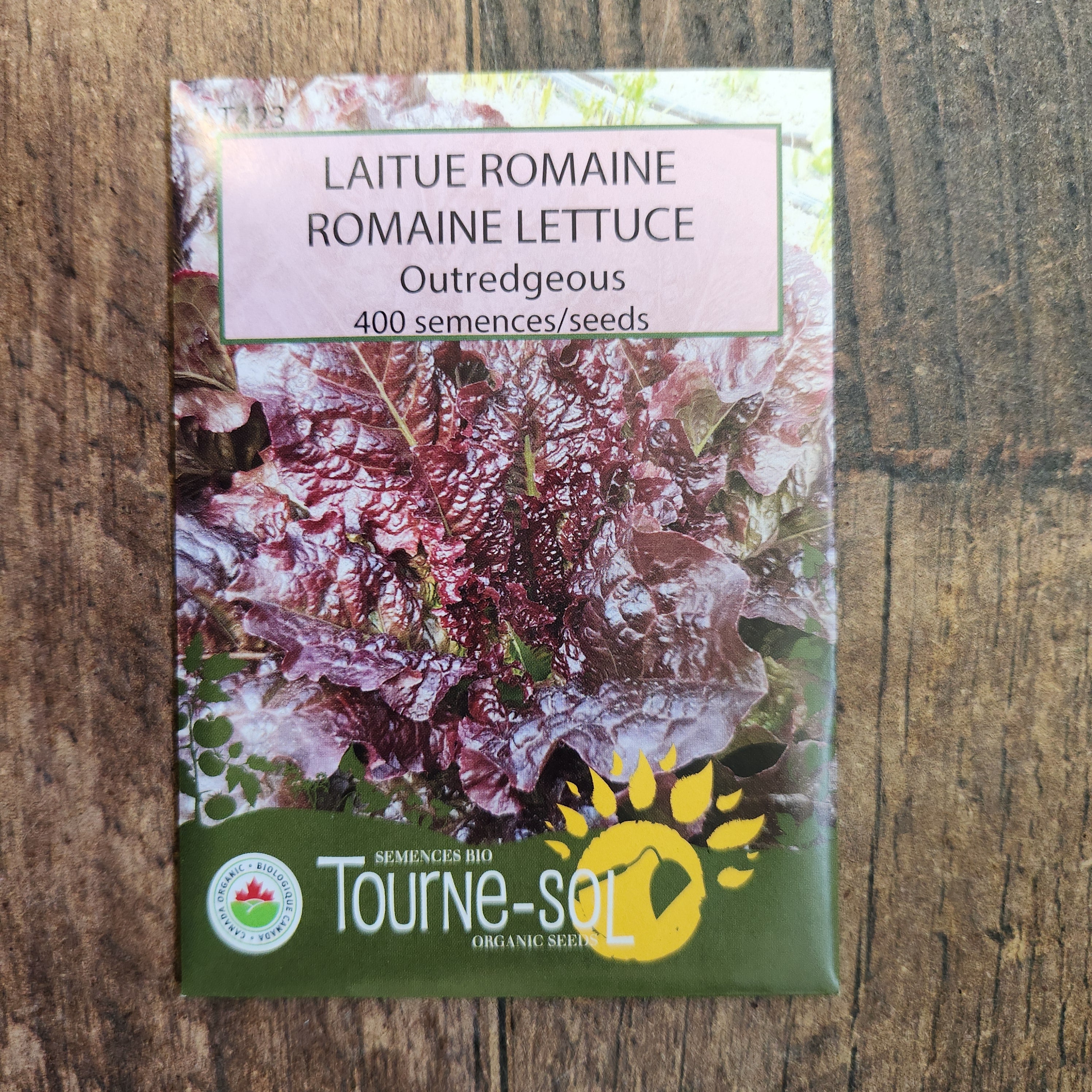Laitue romaine 'Outredgeous' bio - Image 2