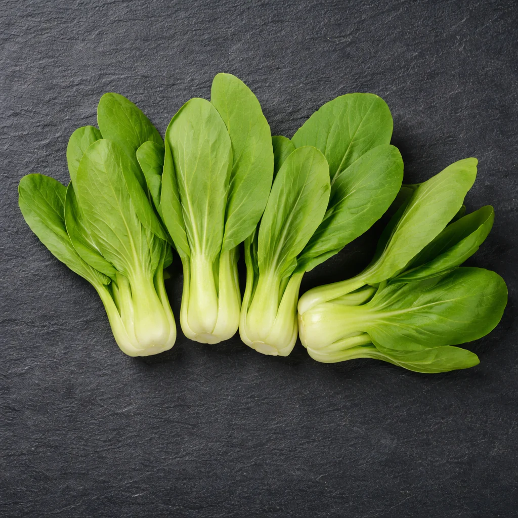 Légume chinois 'Bok Choy Shanghai' bio