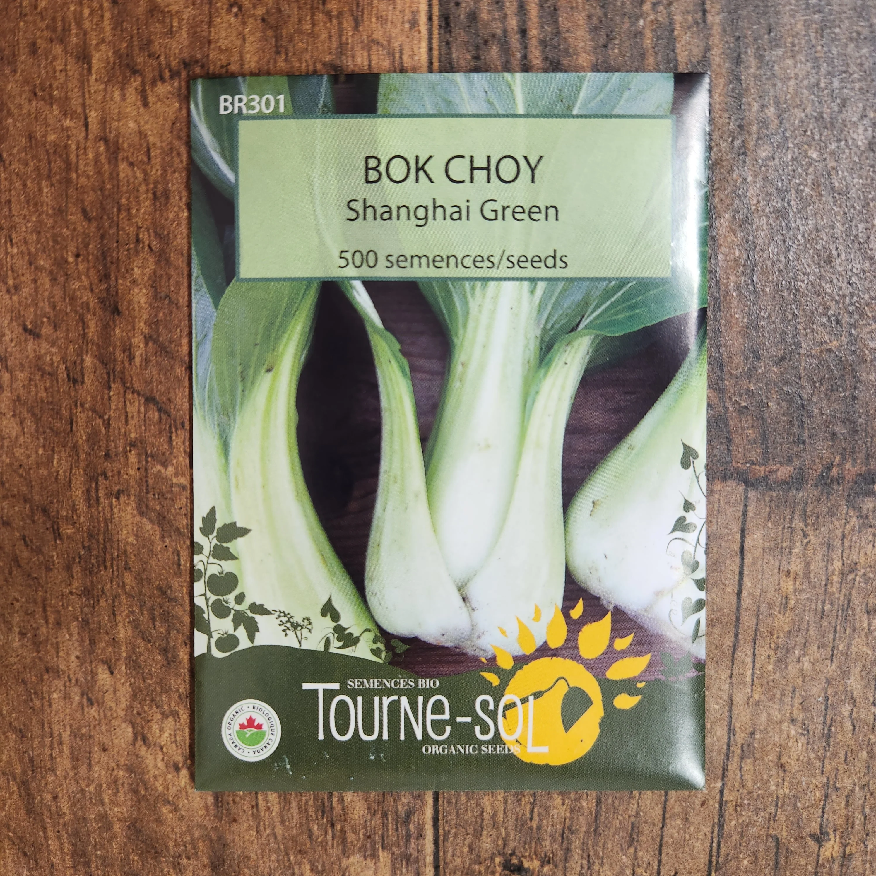 Légume chinois 'Bok Choy Shanghai' bio - Image 2
