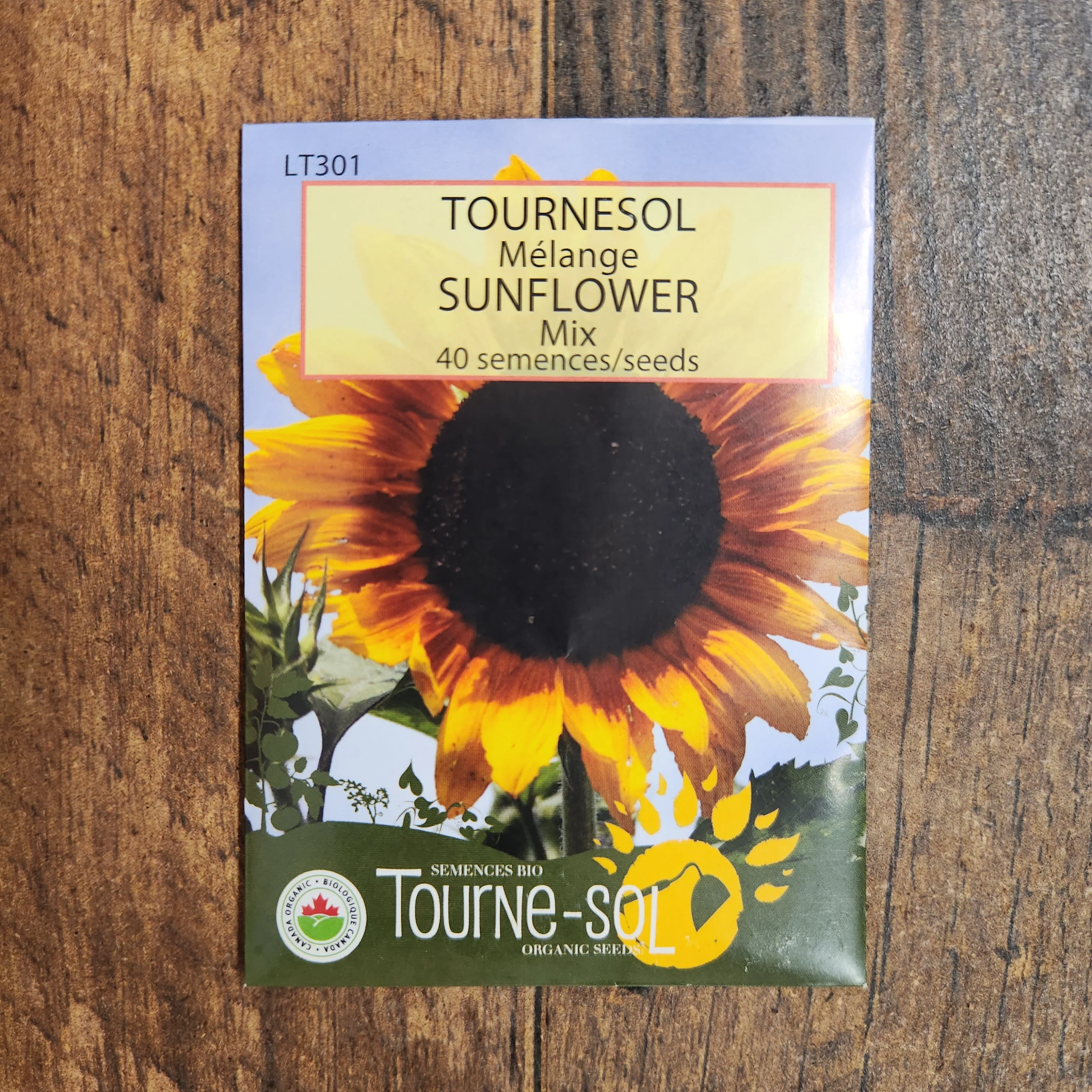 Mélange de tournesols bio - Image 2