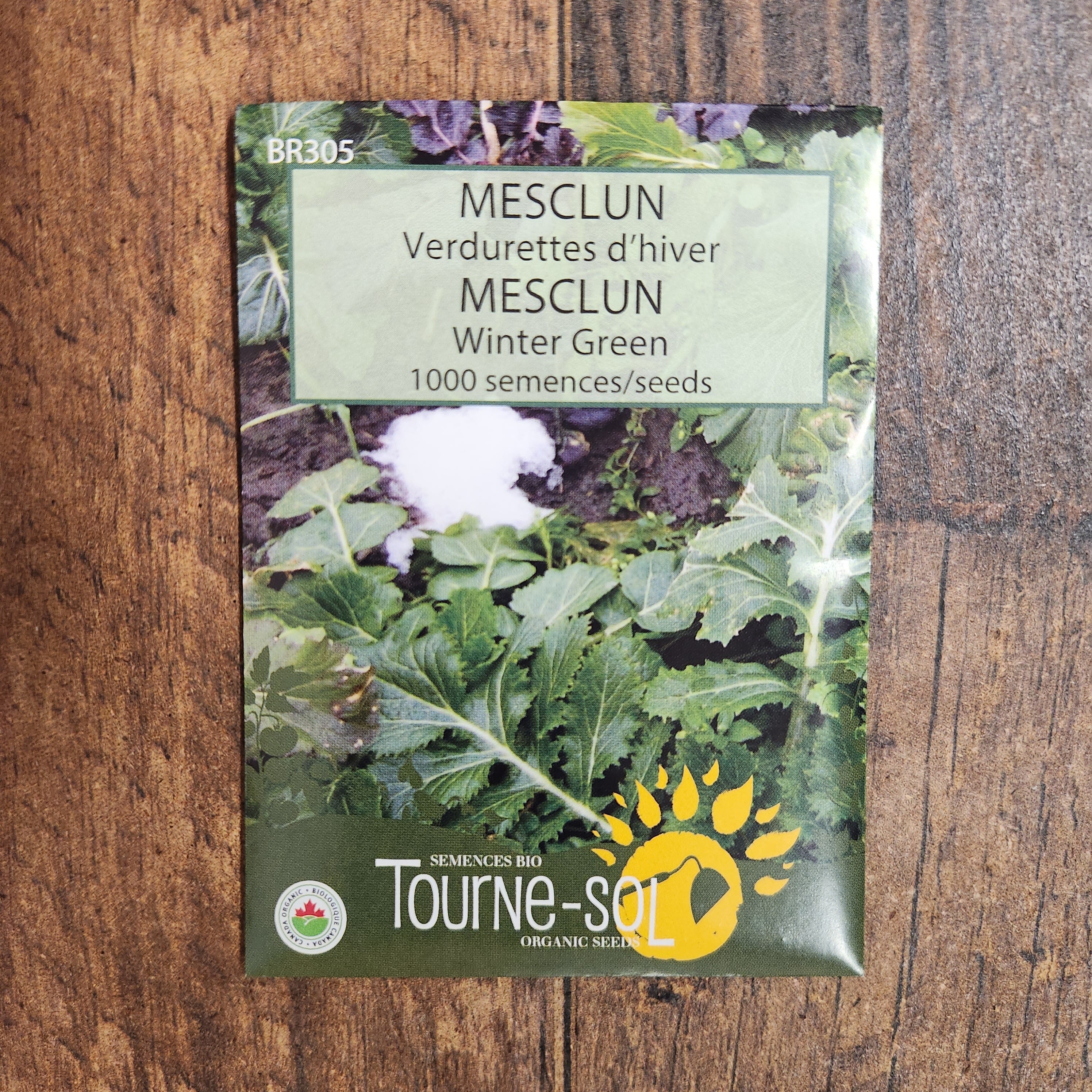 Mesclun 'Verdurette d'hiver' bio - Image 2