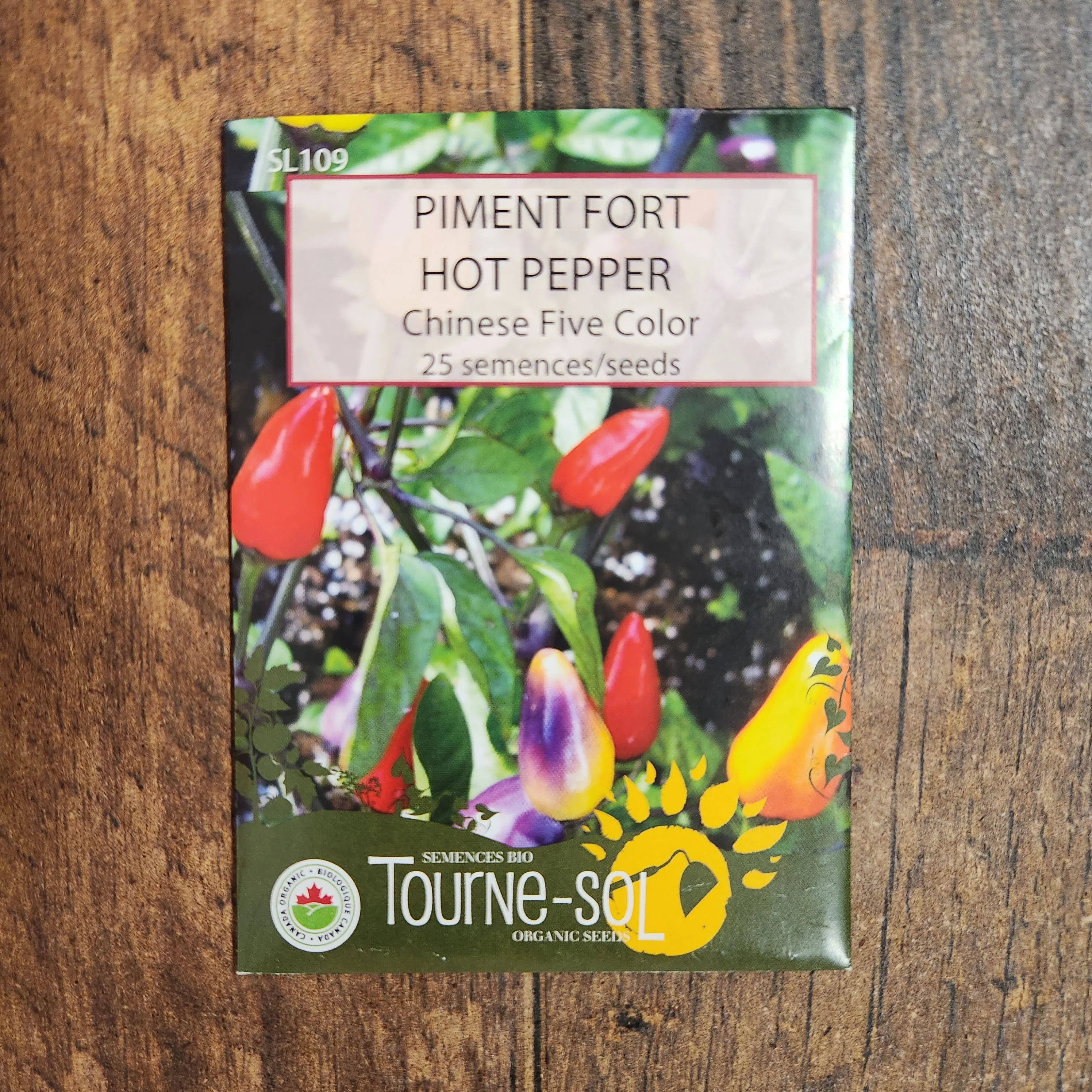 Piment fort 'Chinese Five Color' bio - Image 2