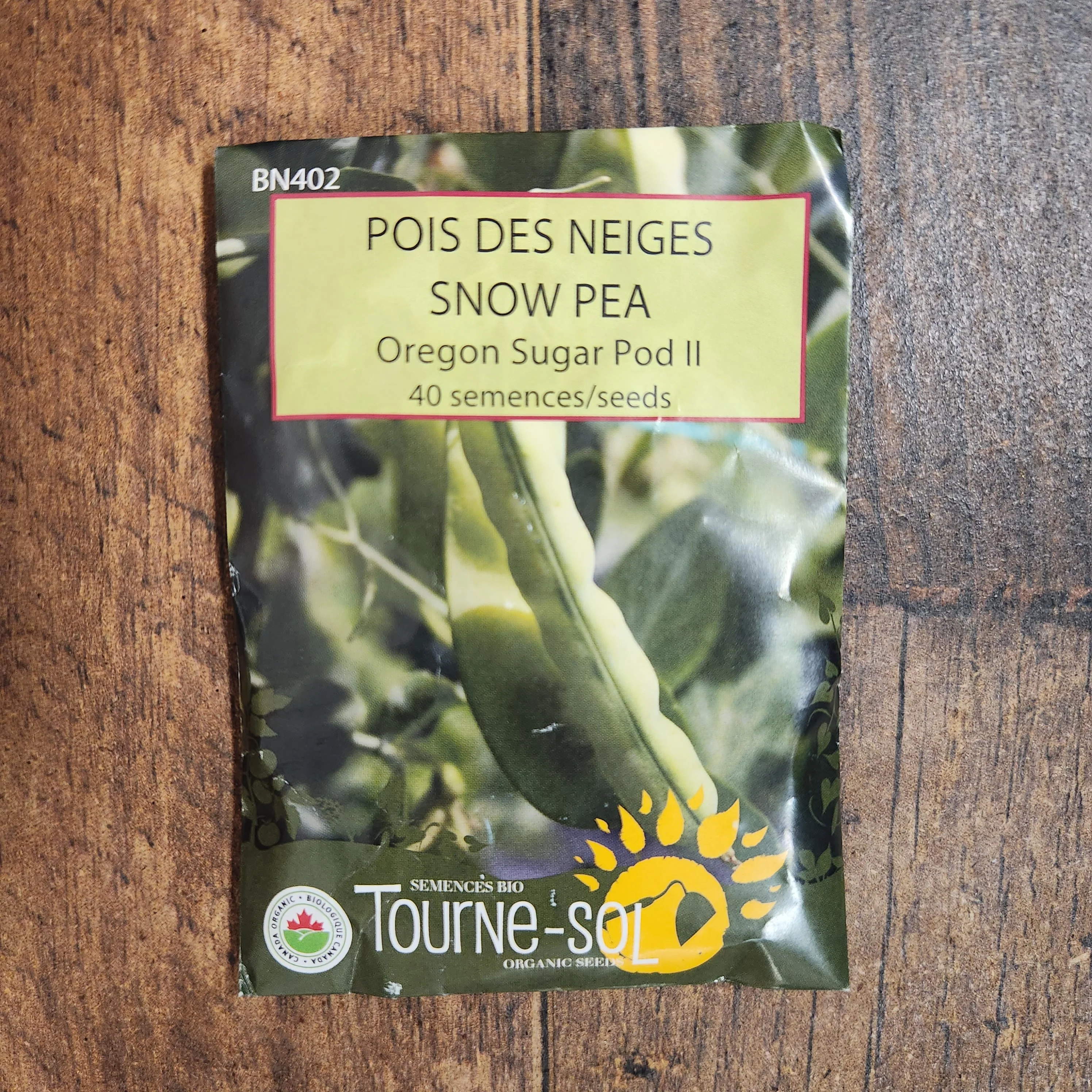 Pois des neiges 'Oregon Sugar Pod II' bio - Image 2