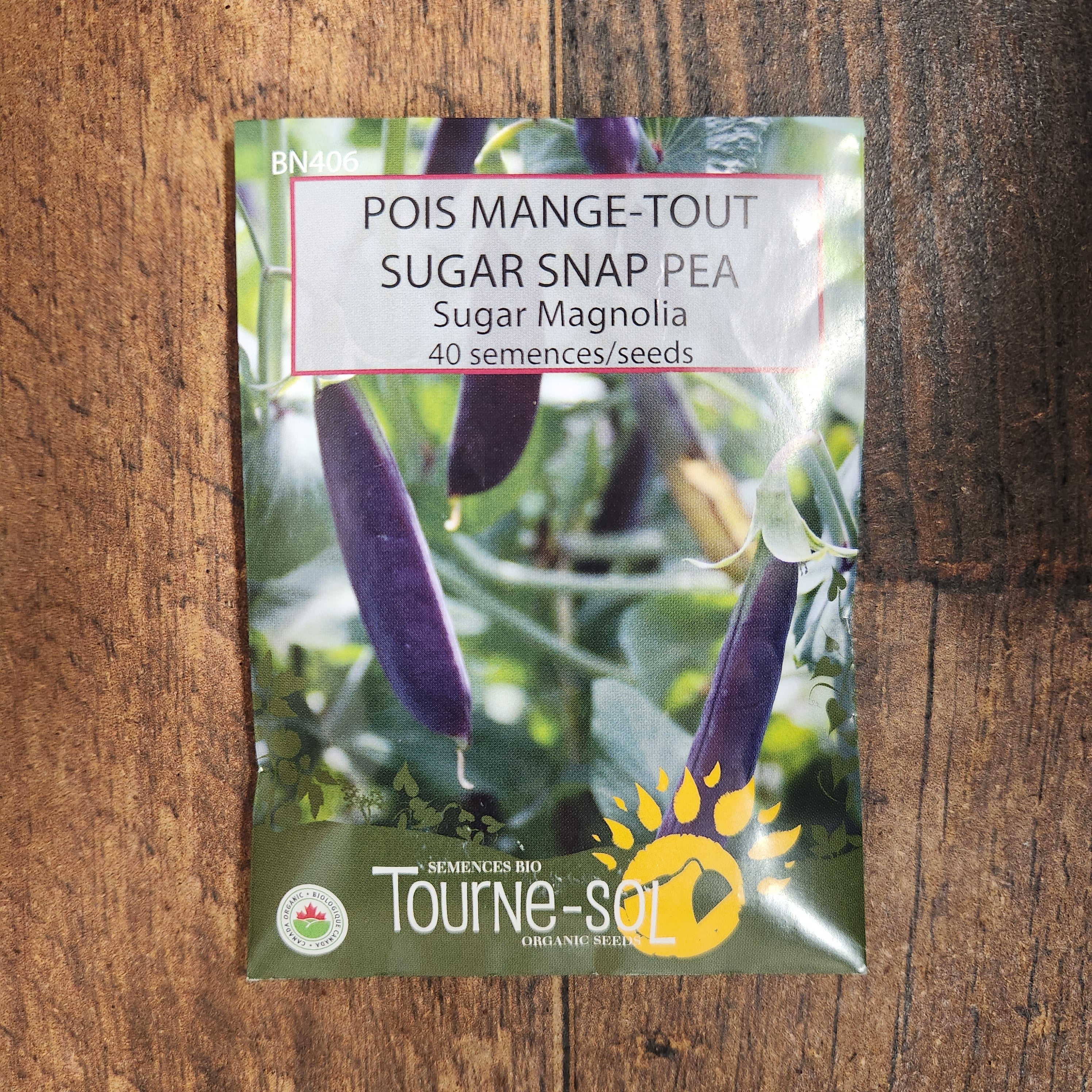 Pois mange-tout 'Sugar Magnolia' bio - Image 2