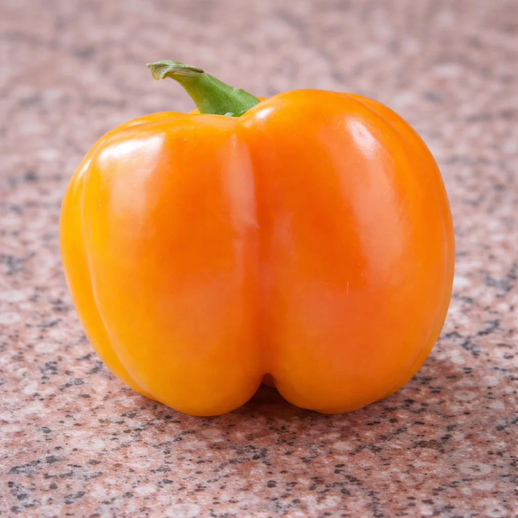 Poivron orange 'Doe Hill' bio