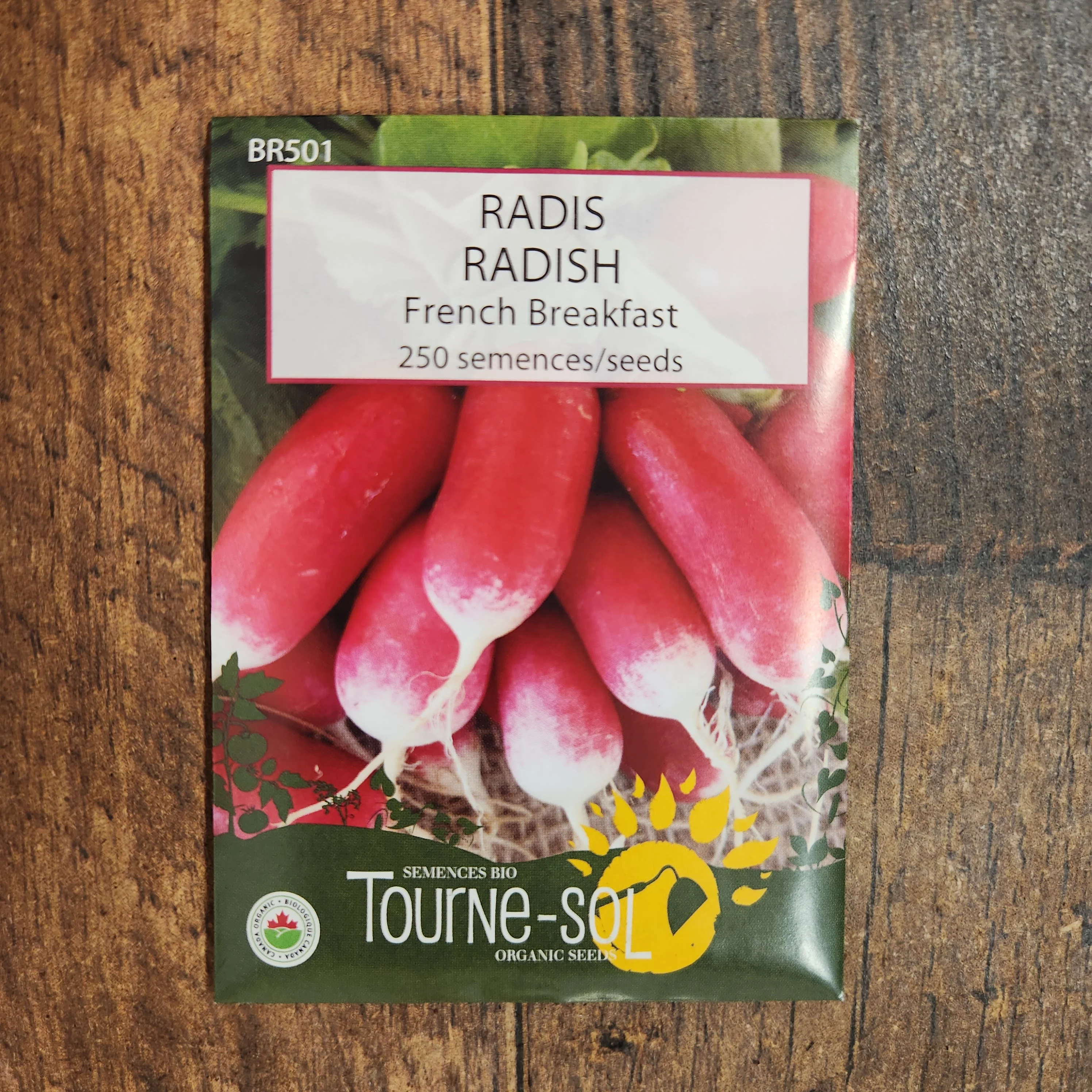Radis 'French Breakfast' bio - Image 2