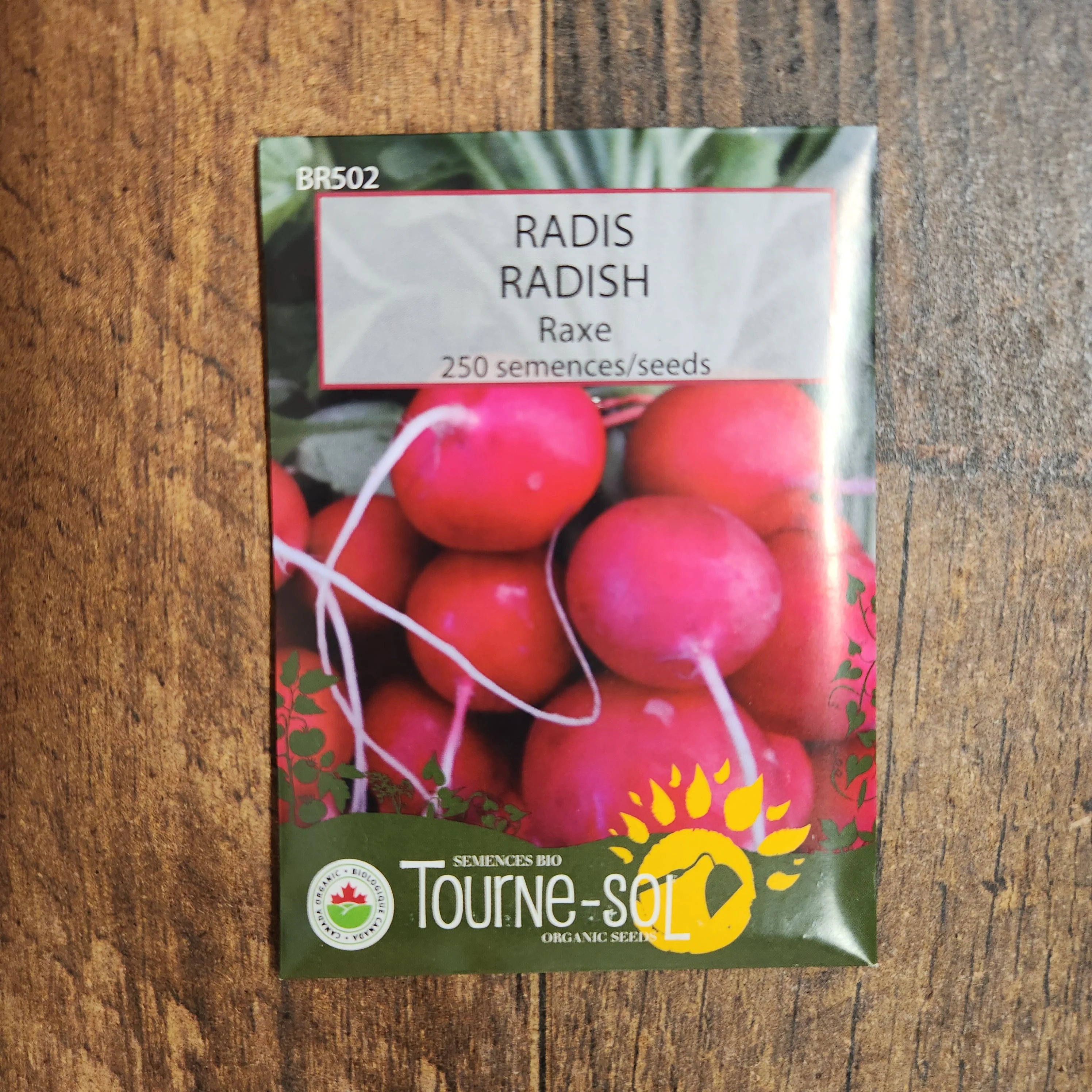 Radis 'Raxe' bio - Image 2