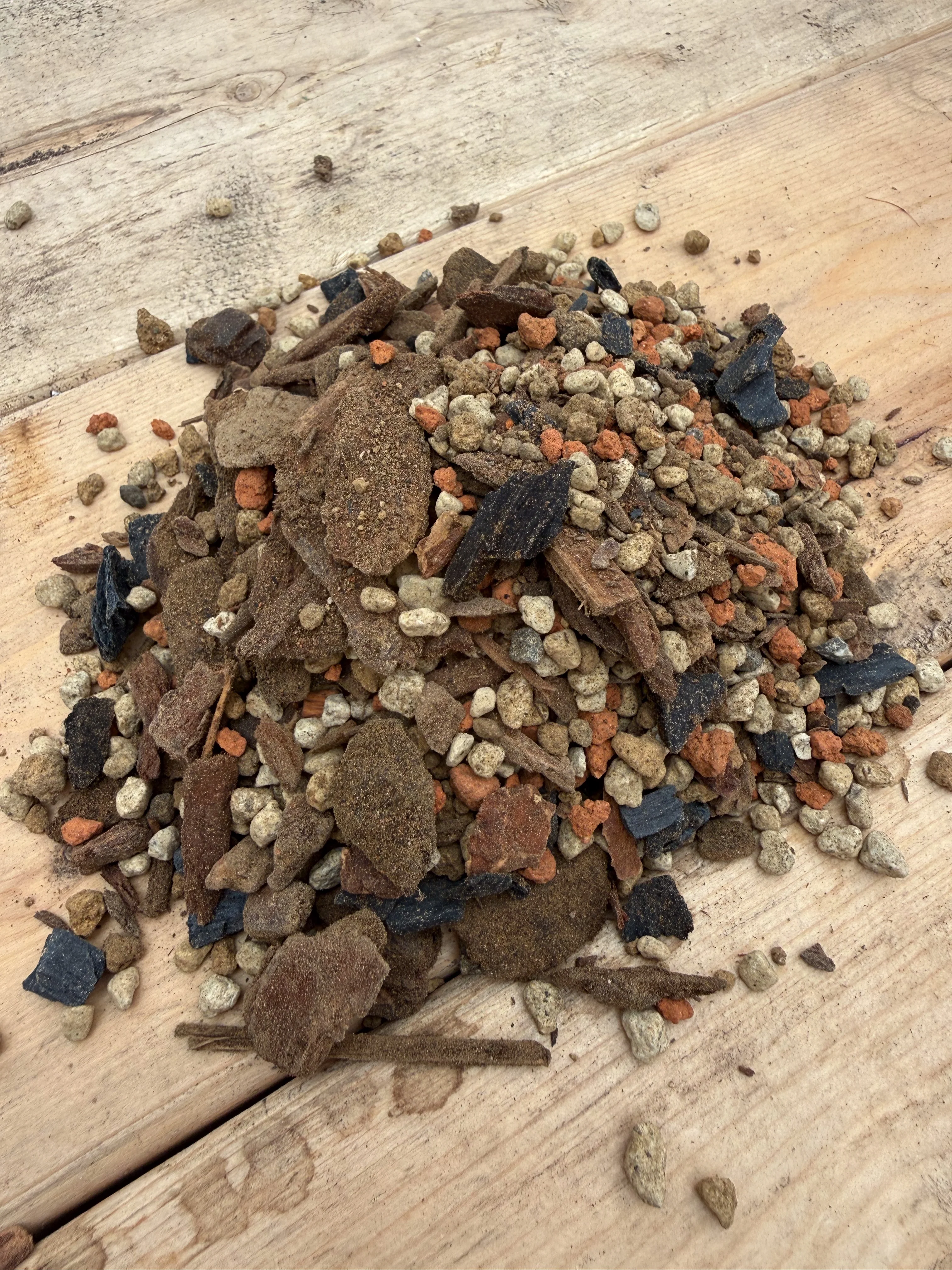 Terreau pour bonsaï conifère Gaiand - Image 2