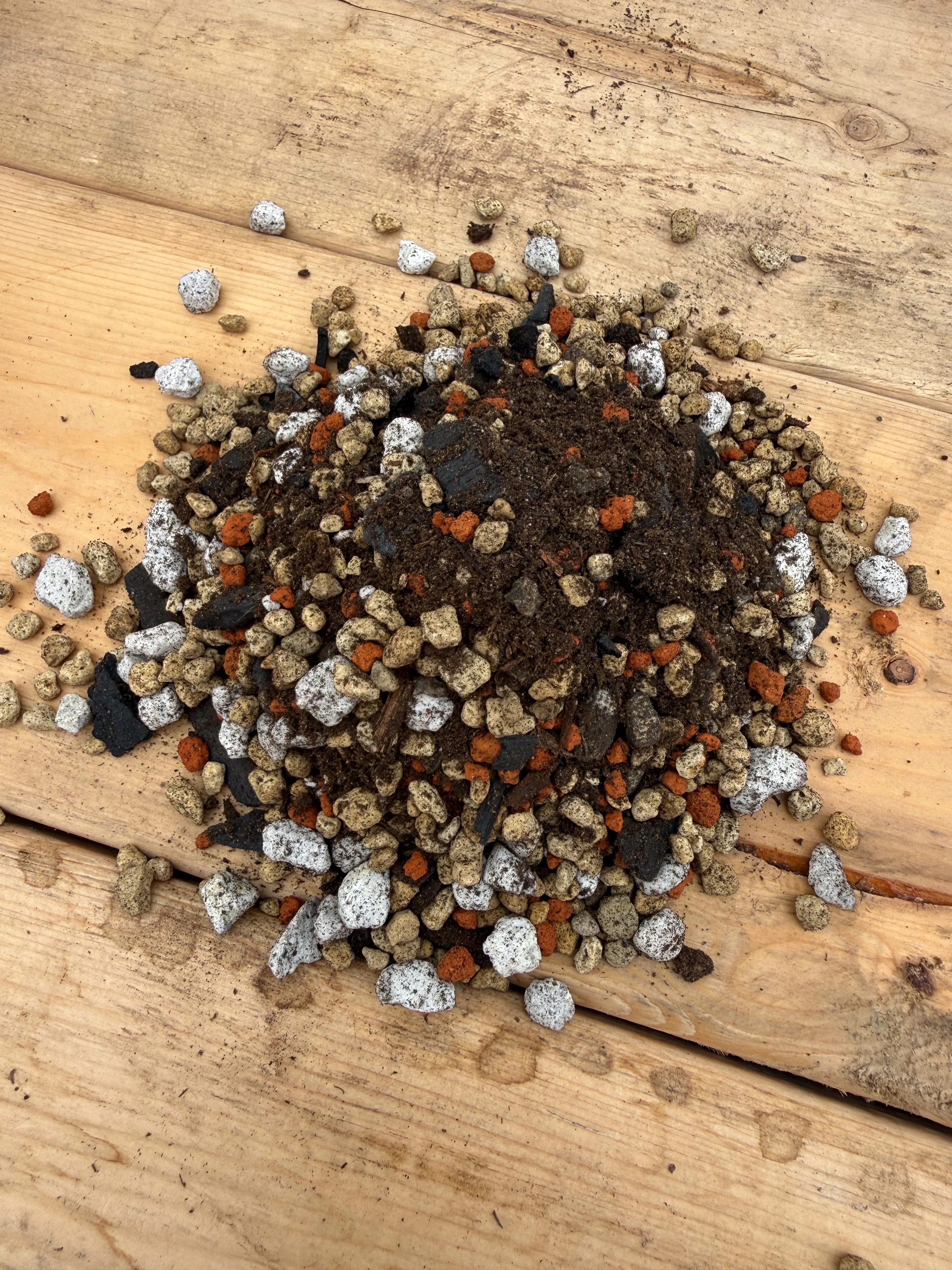 Terreau maison pour cactus désertique - Image 2