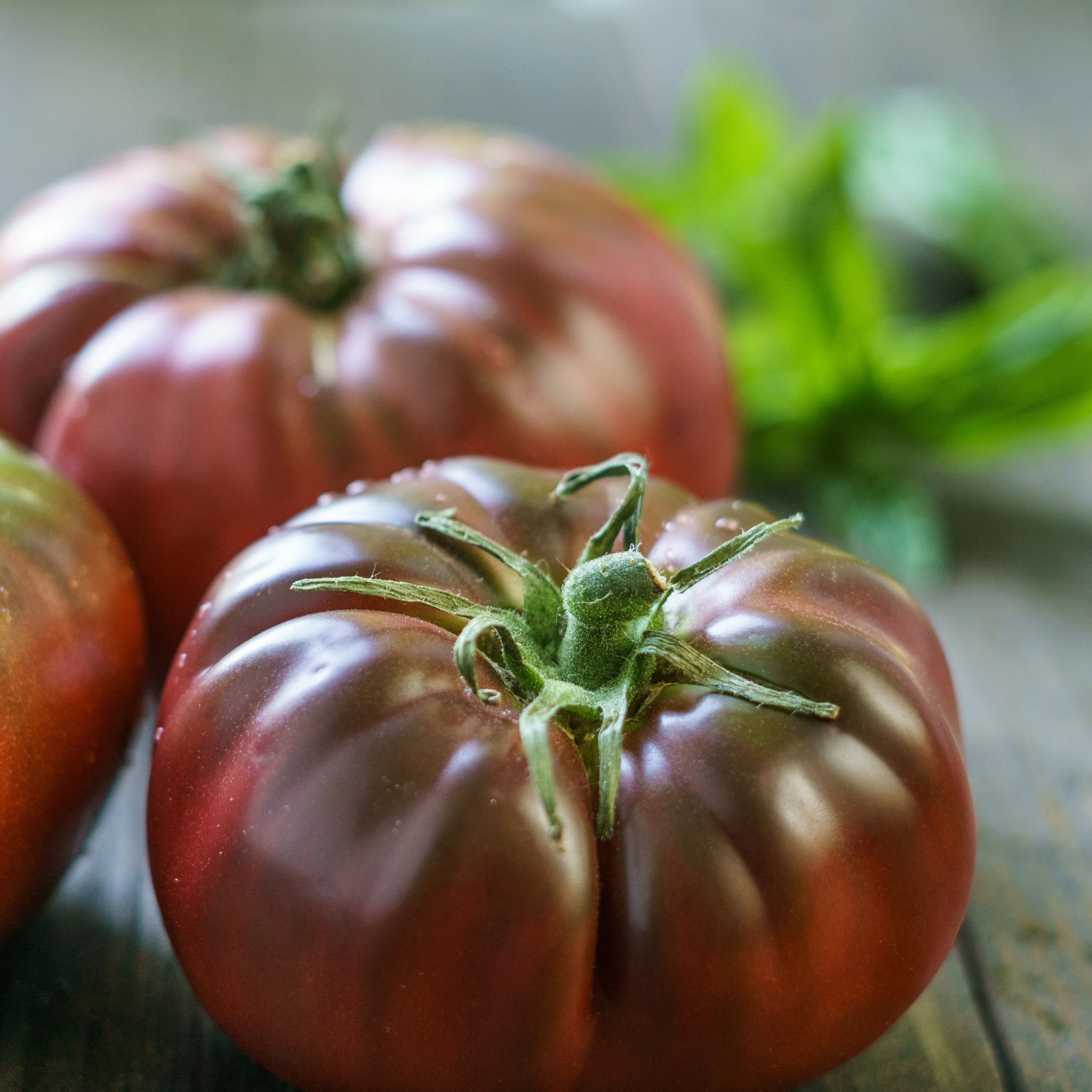 Tomate 'Brandywine Black' bio