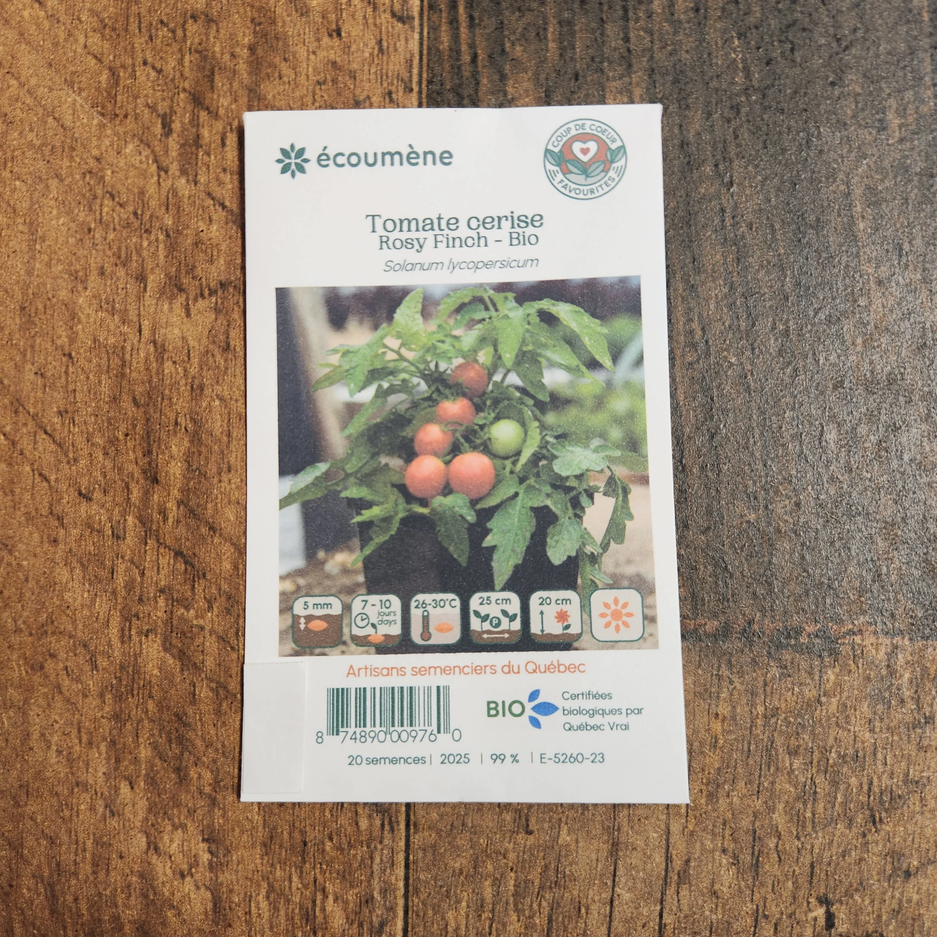 Tomate cerise 'Rosy Finch' bio - Image 2