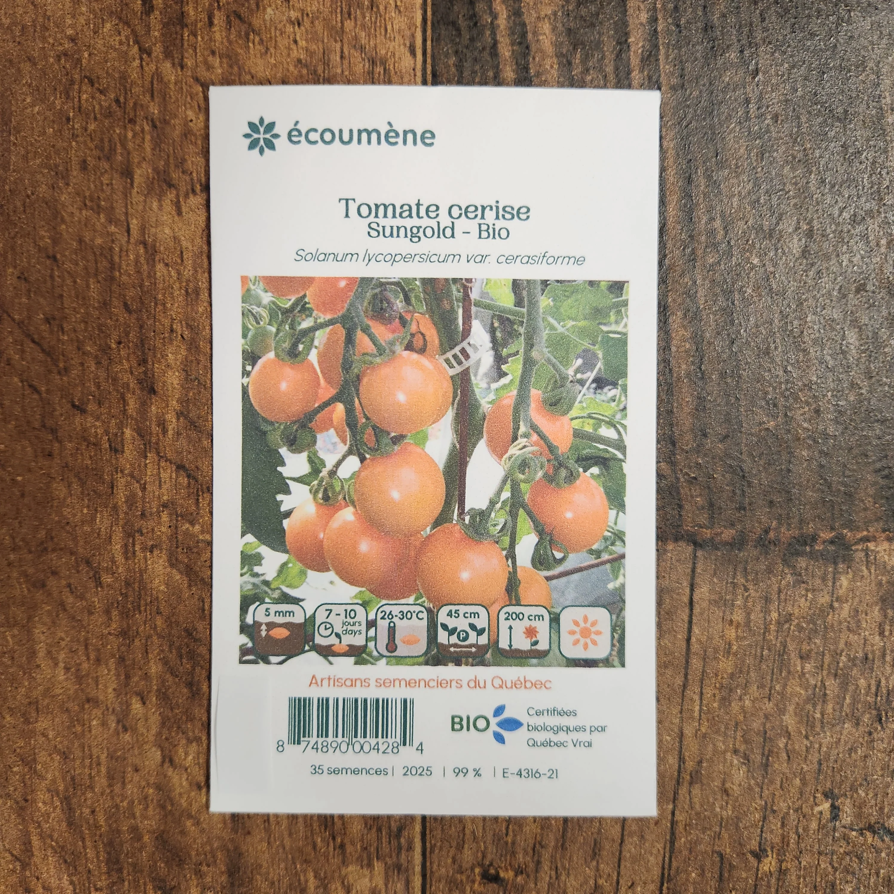 Tomate Cerise 'Sungold' bio - Image 2