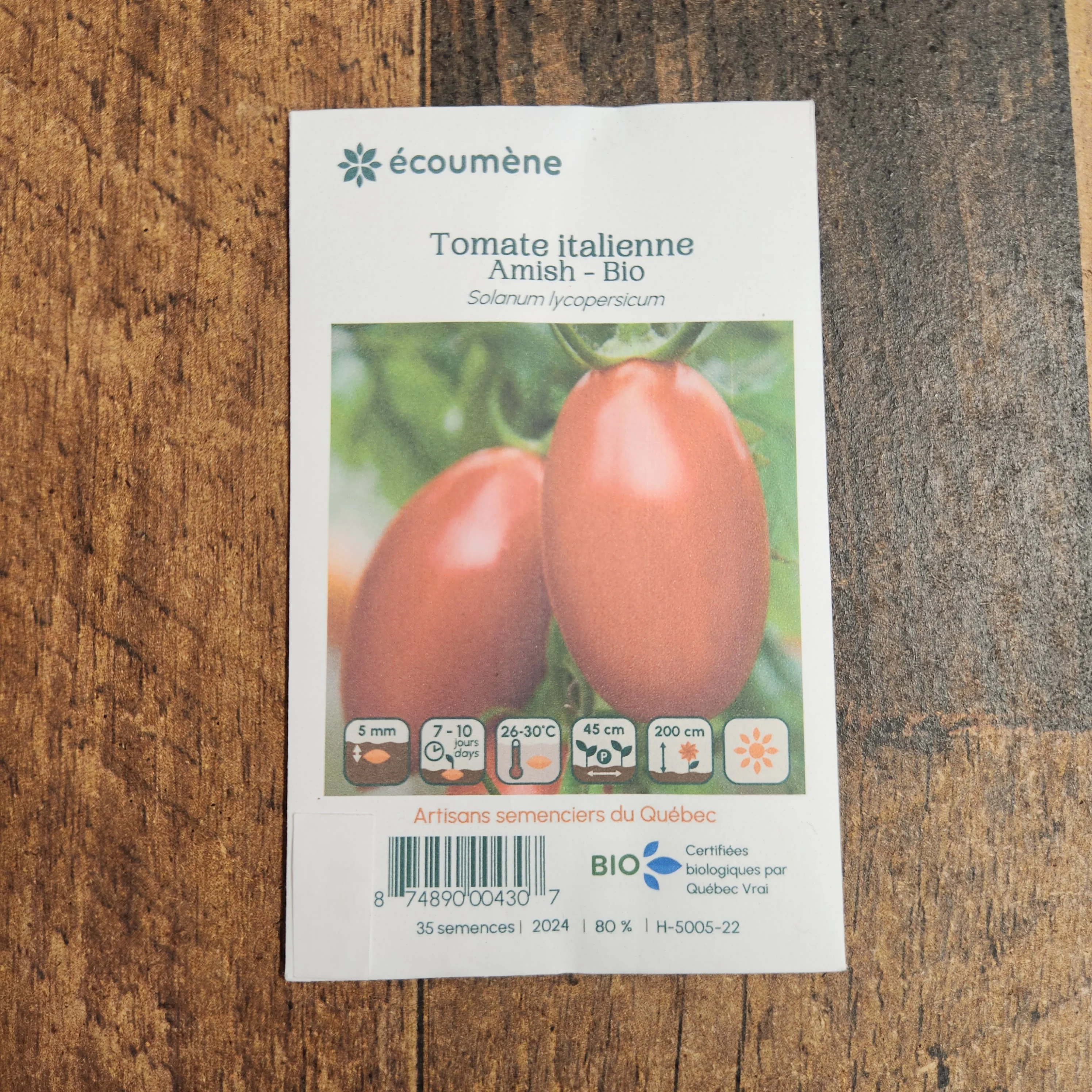 Tomate Italienne 'Amish' bio - Image 2