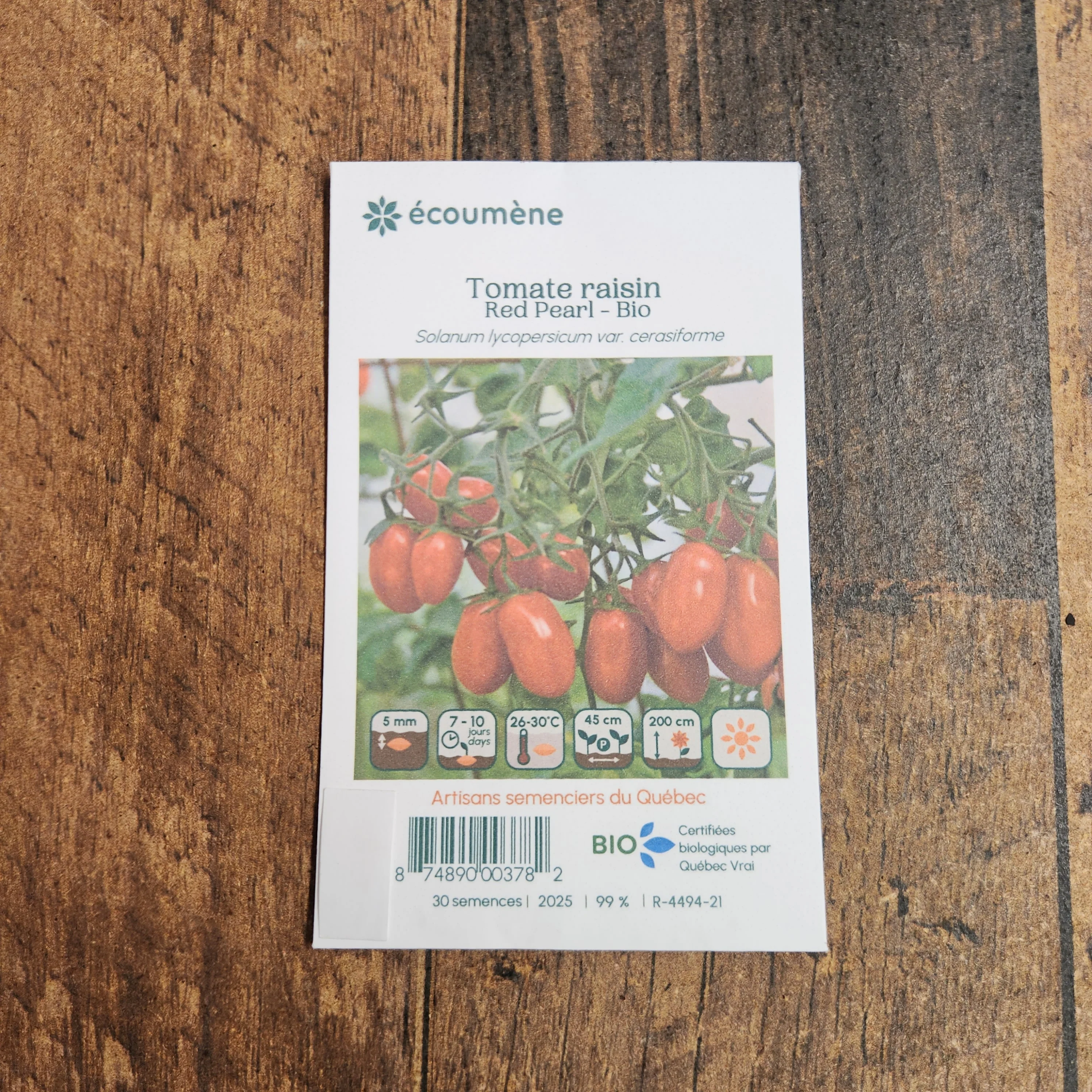 Tomate Raisin 'Red Pearl' bio - Image 2