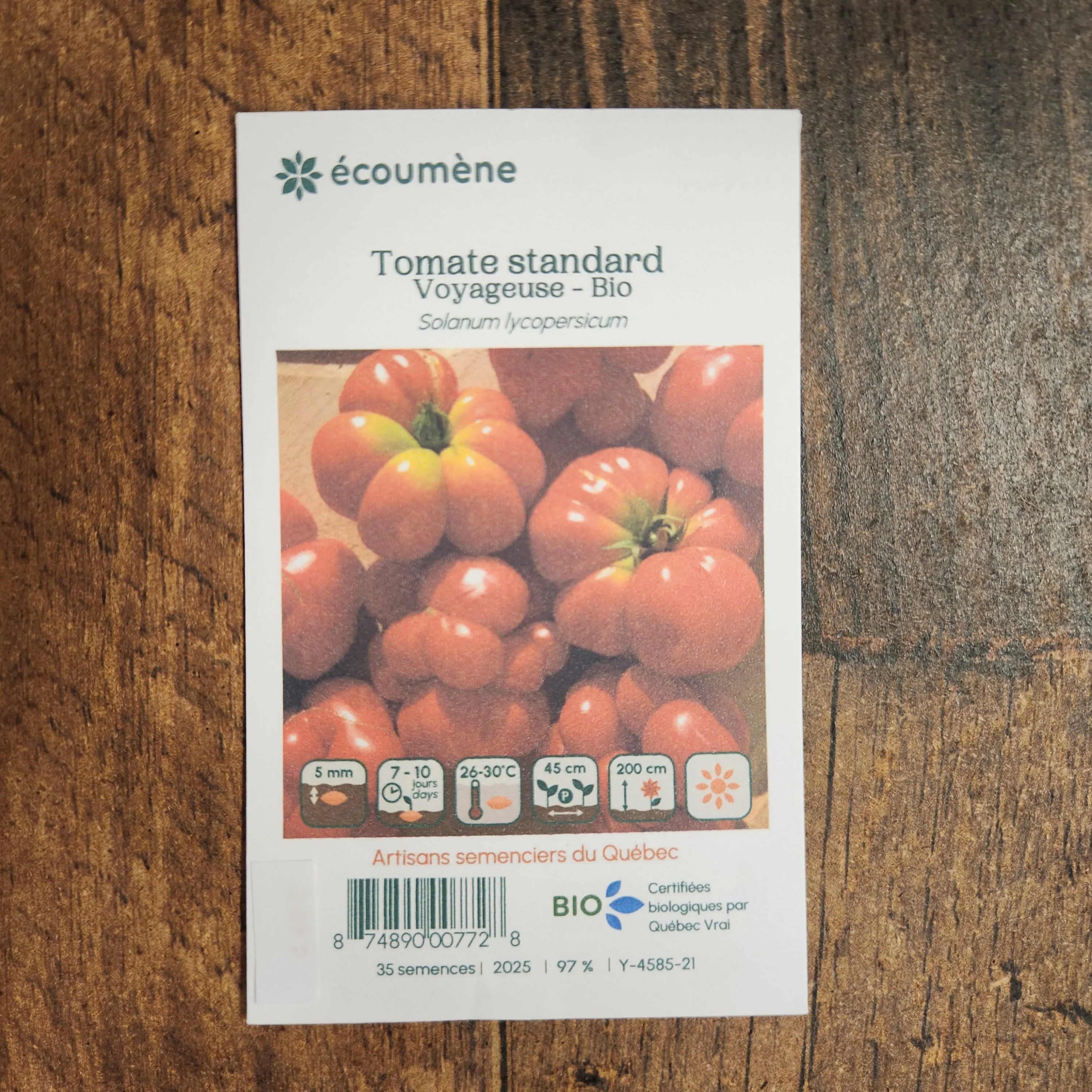 Tomate 'Voyageuse' bio - Image 2