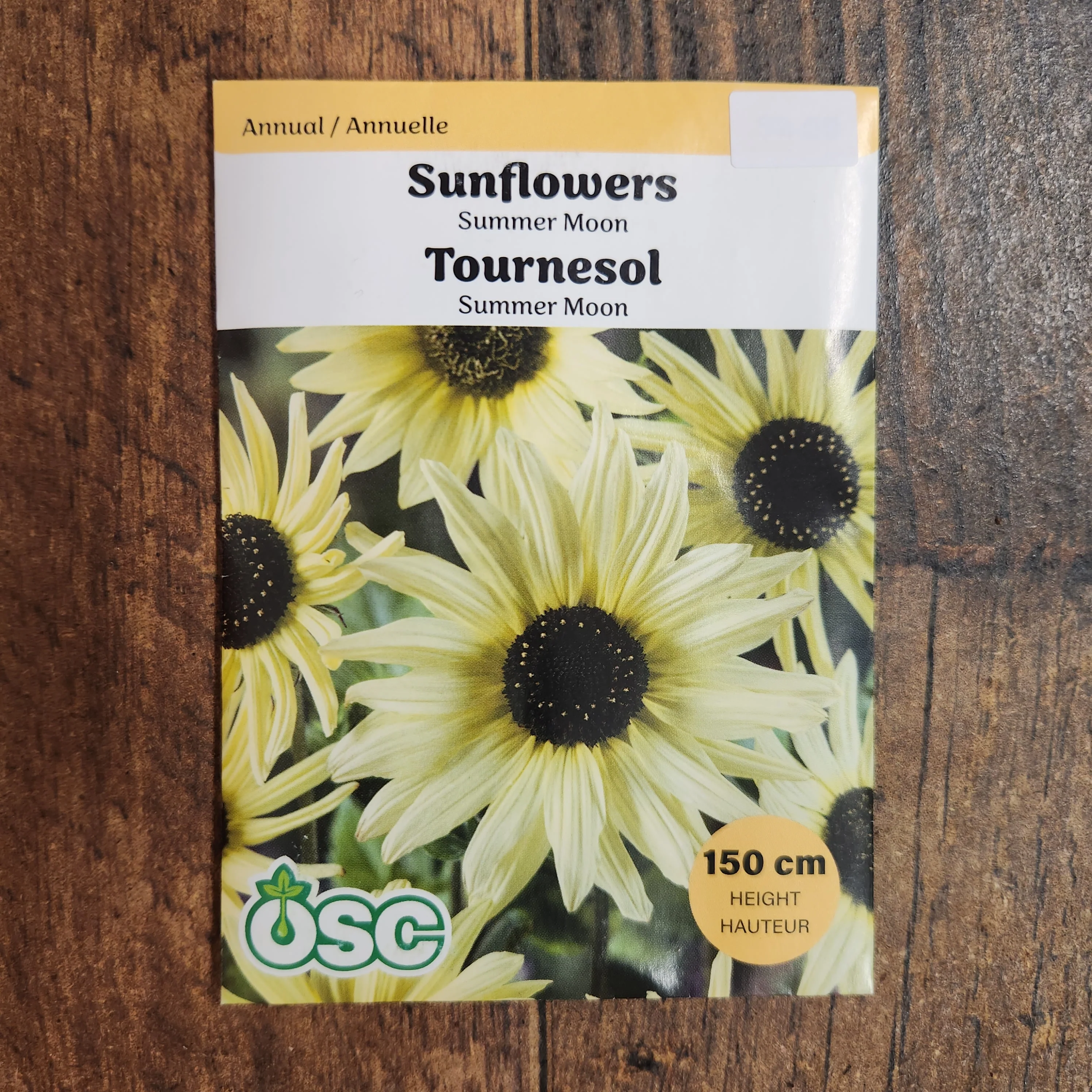 Tournesol 'Summer Moon' - Image 2