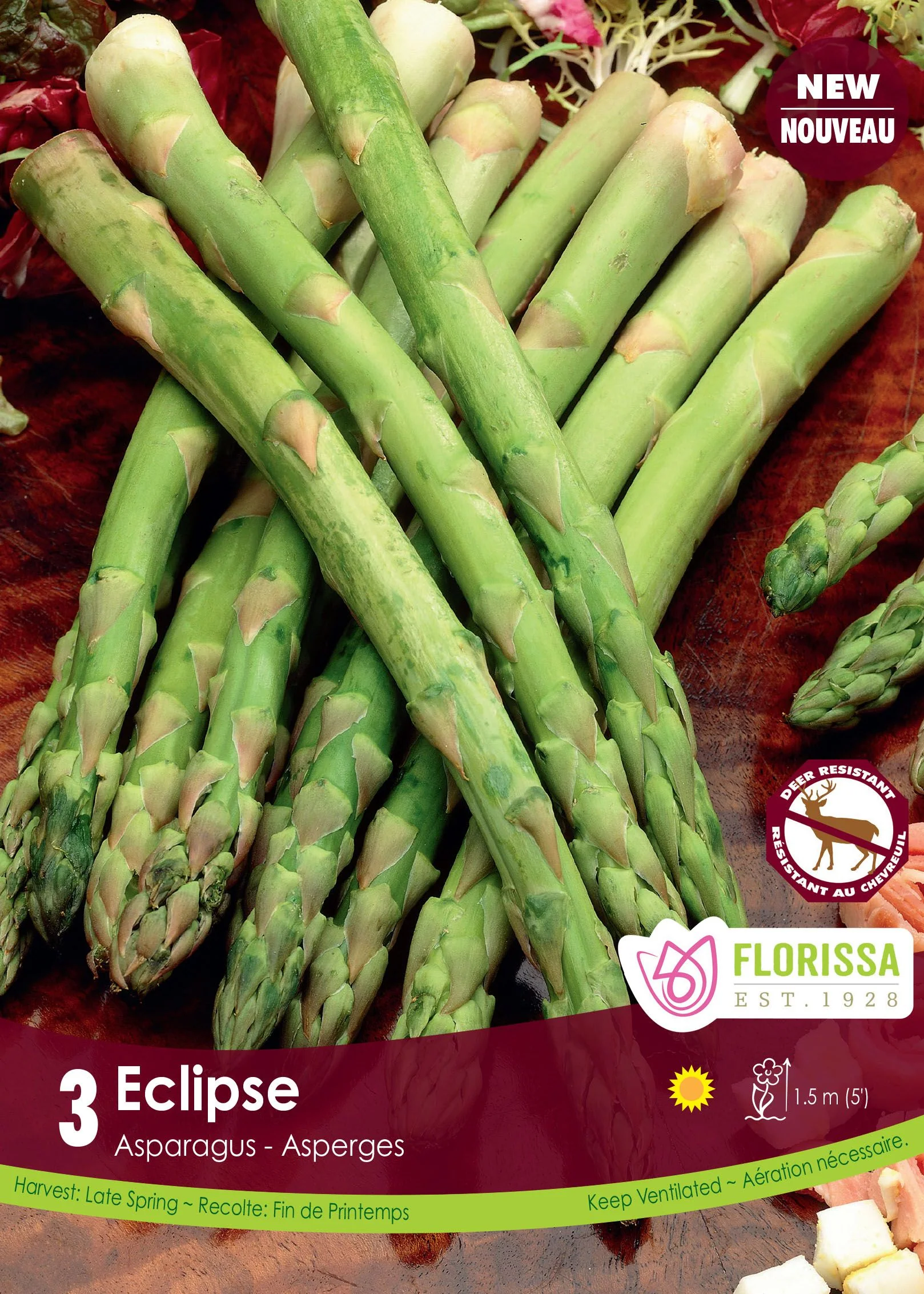Asperge âĂclipseâ