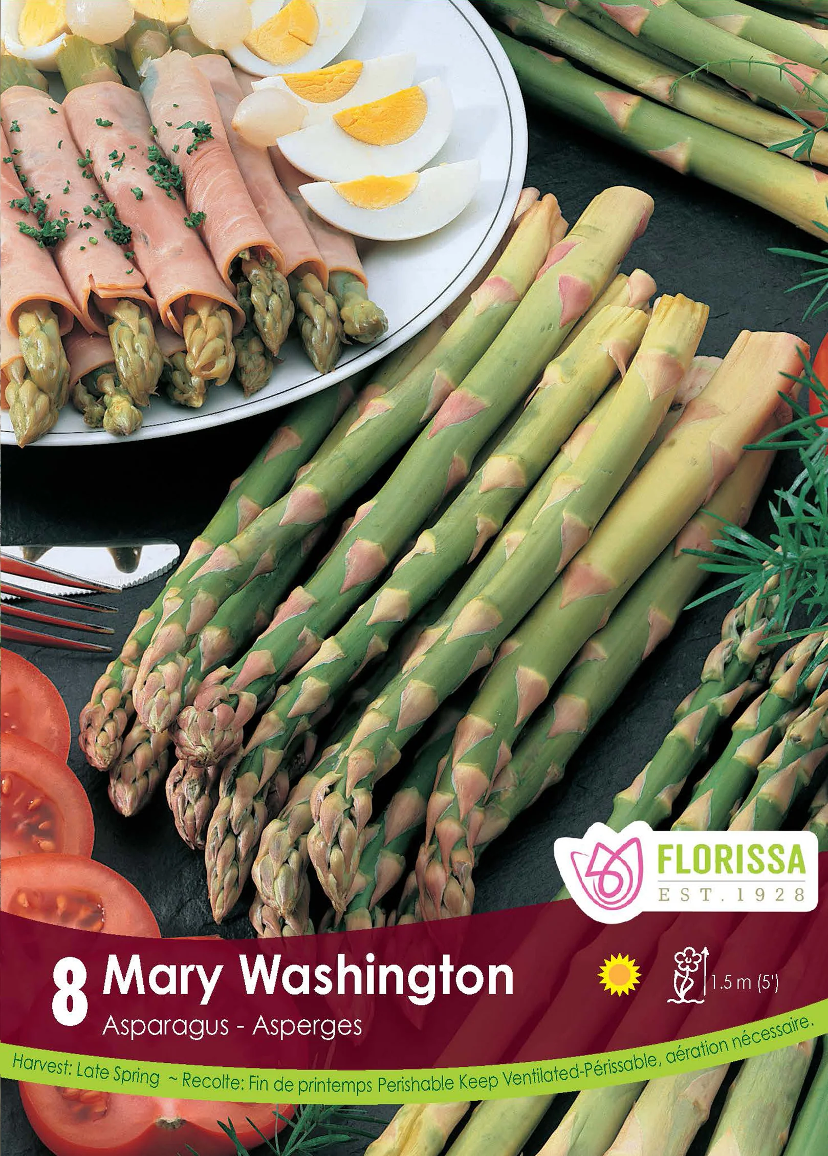 Asperge âMary Washingtonâ