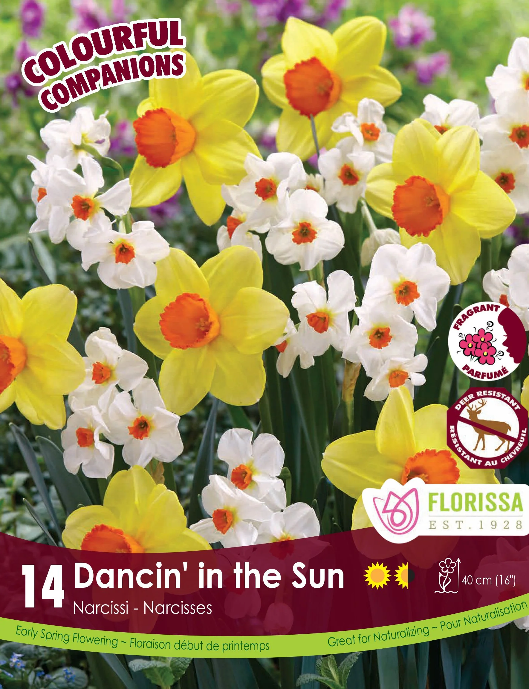 Harmonie Florale – Dancin' in the Sun