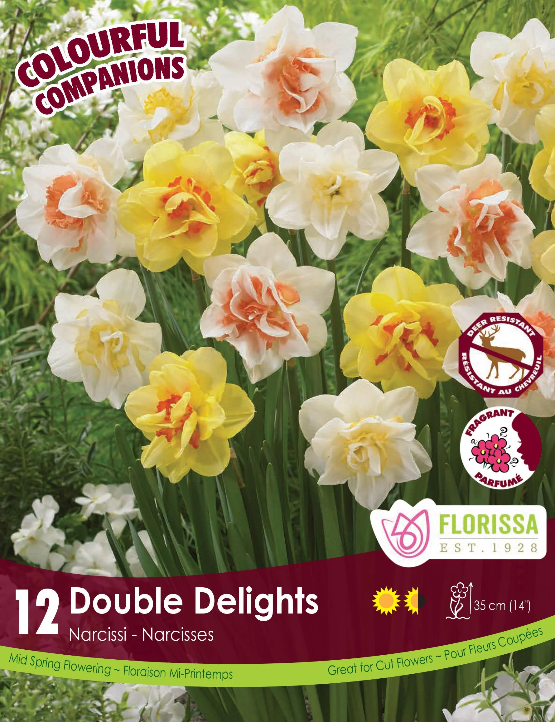 Harmonie Florale – Double Delights