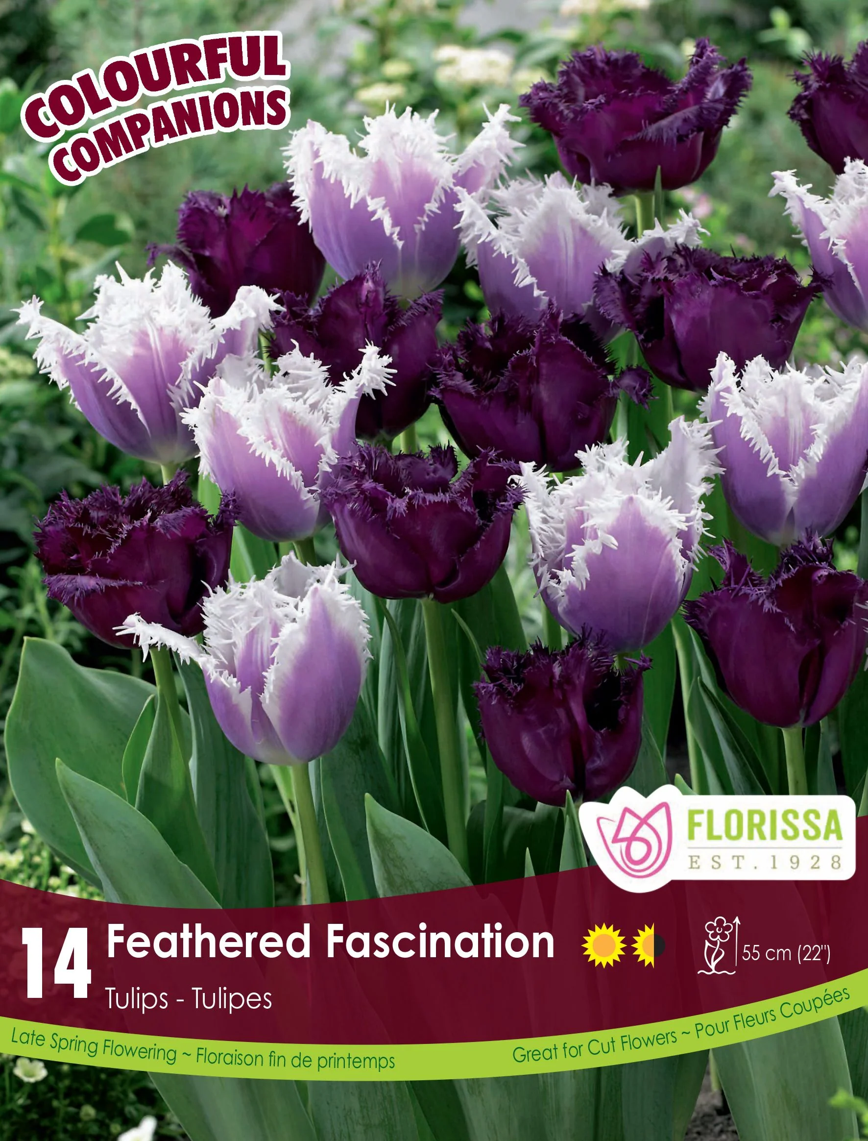 Harmonie Florale – Feathered Fascination