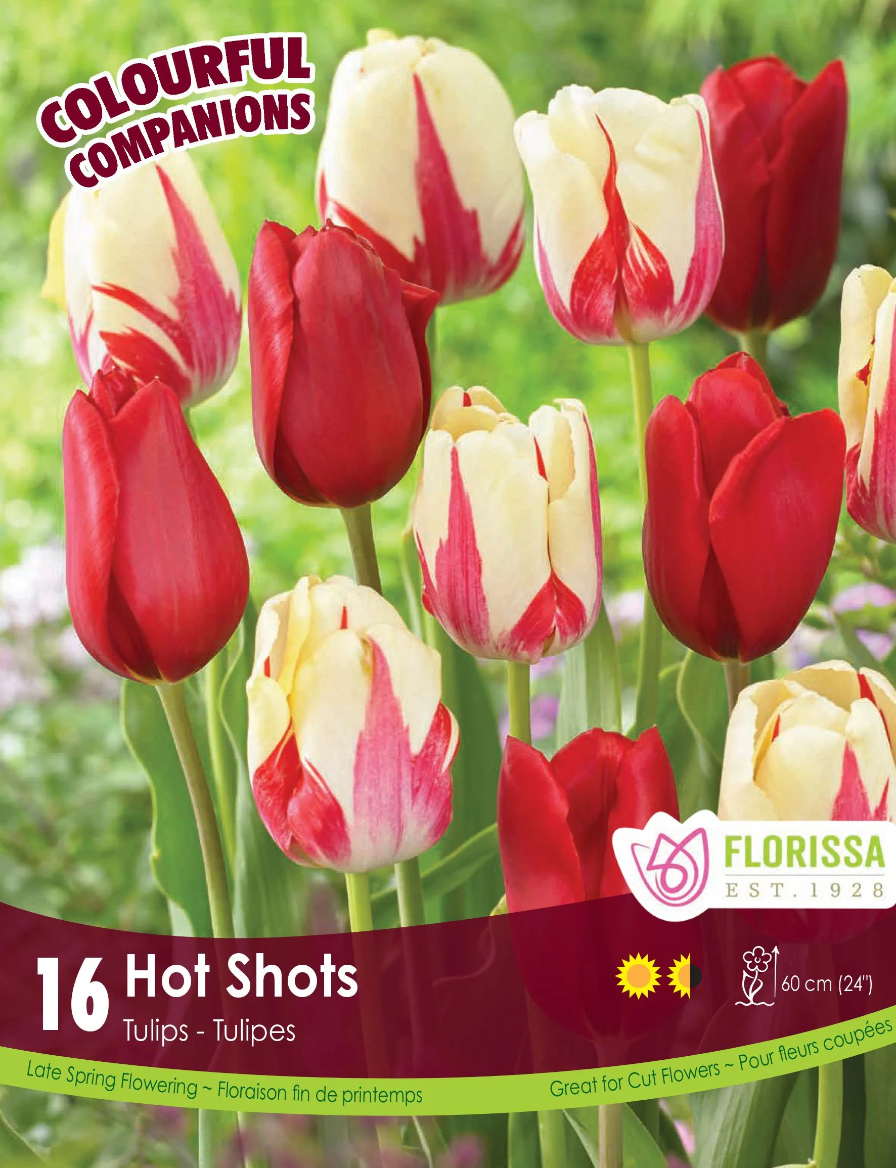 Harmonie Florale – Hot Shots
