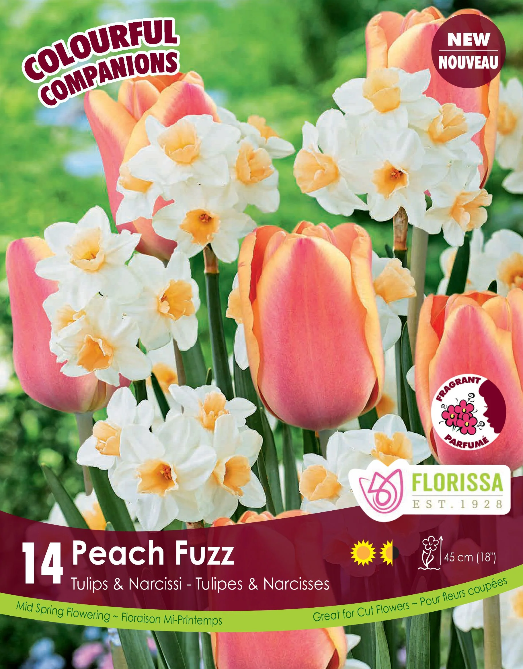 Harmonie Florale – Peach Fuzz