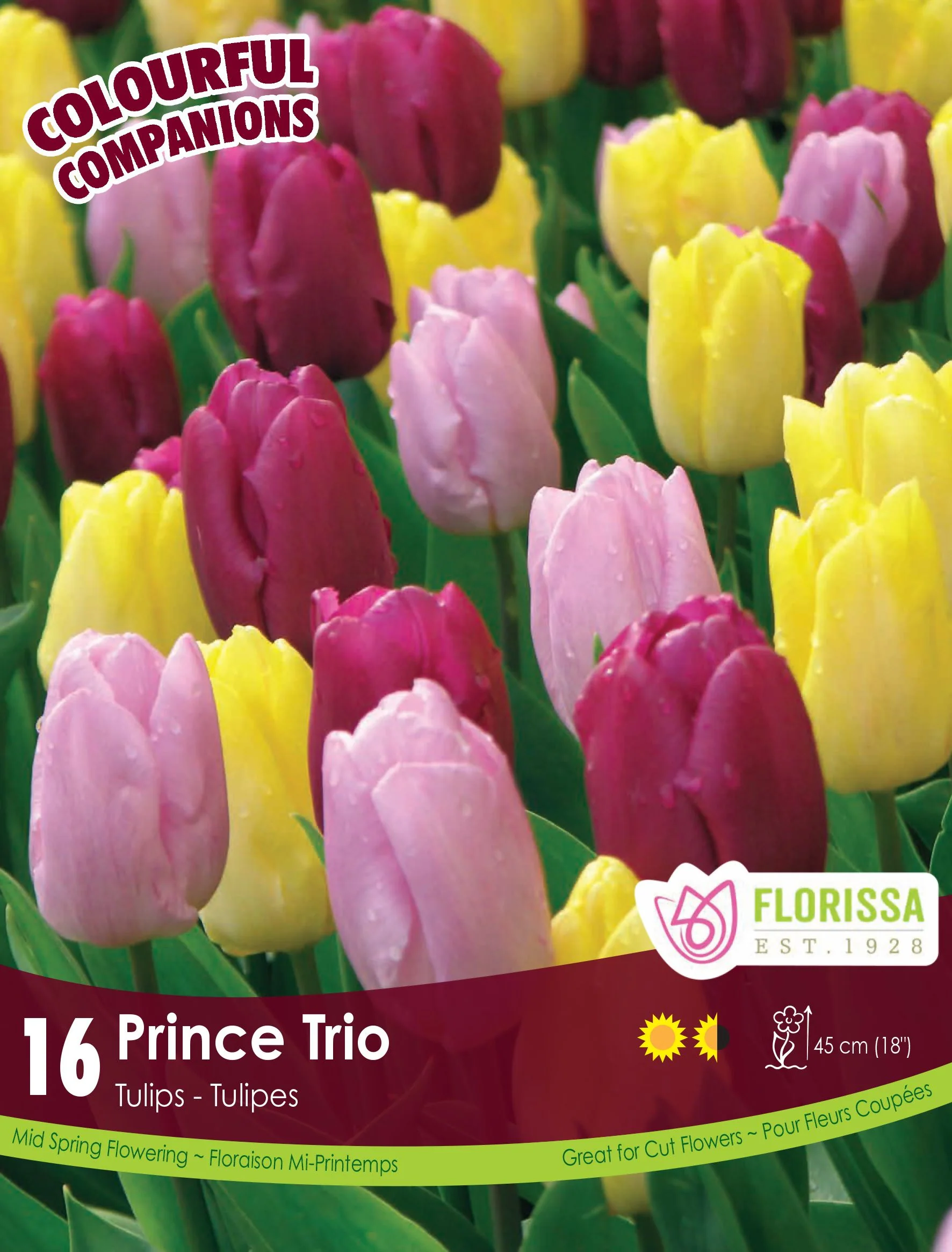 Harmonie Florale – Prince Trio