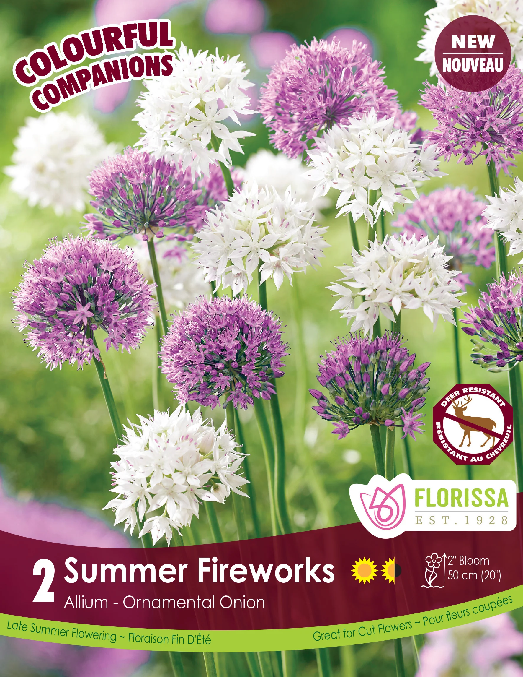 Harmonie 'Summer Fireworks'