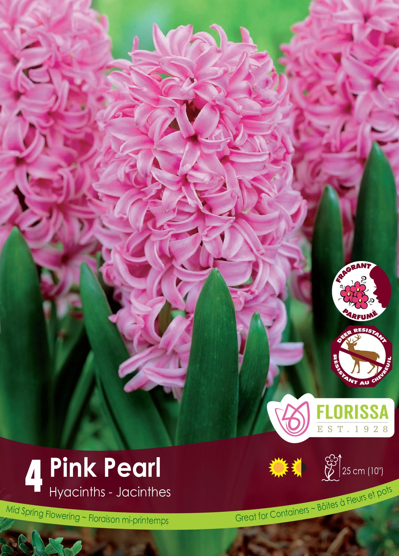 Jacinthe Pink Pearl