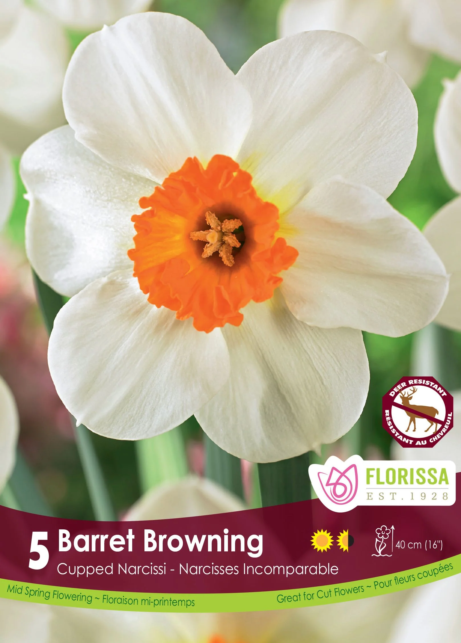 Narcisse Barrett Browning