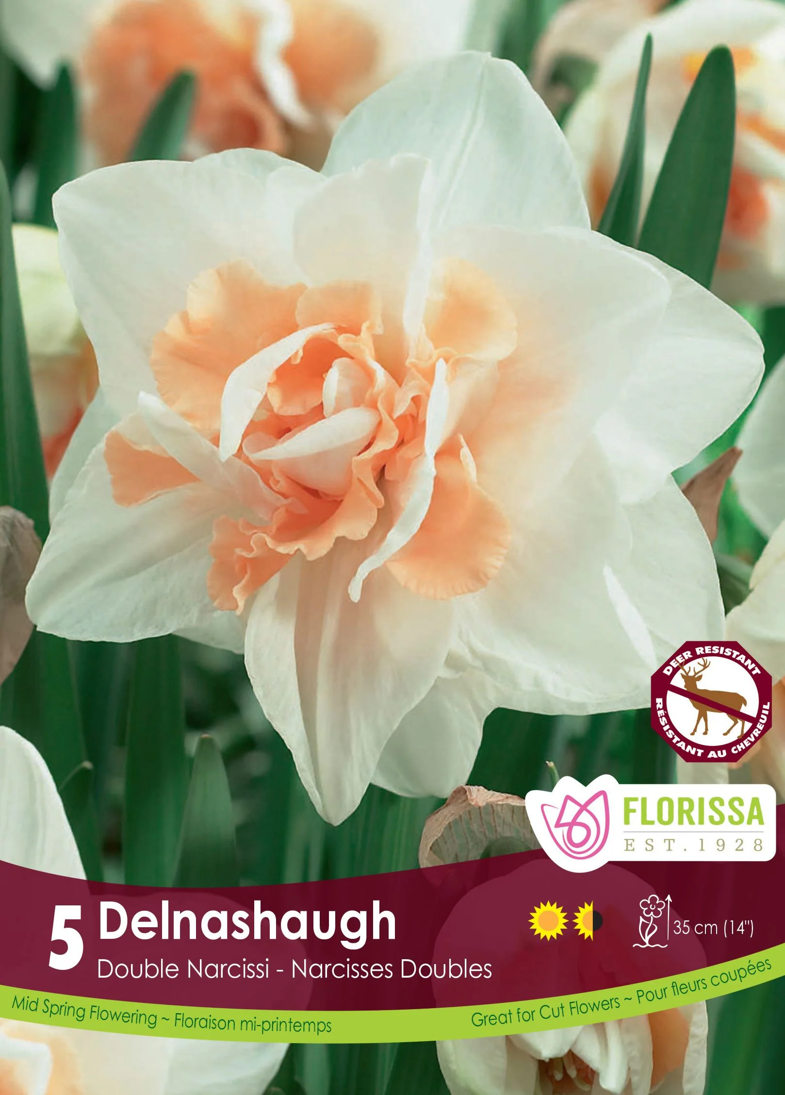 Narcisse Delnashaugh