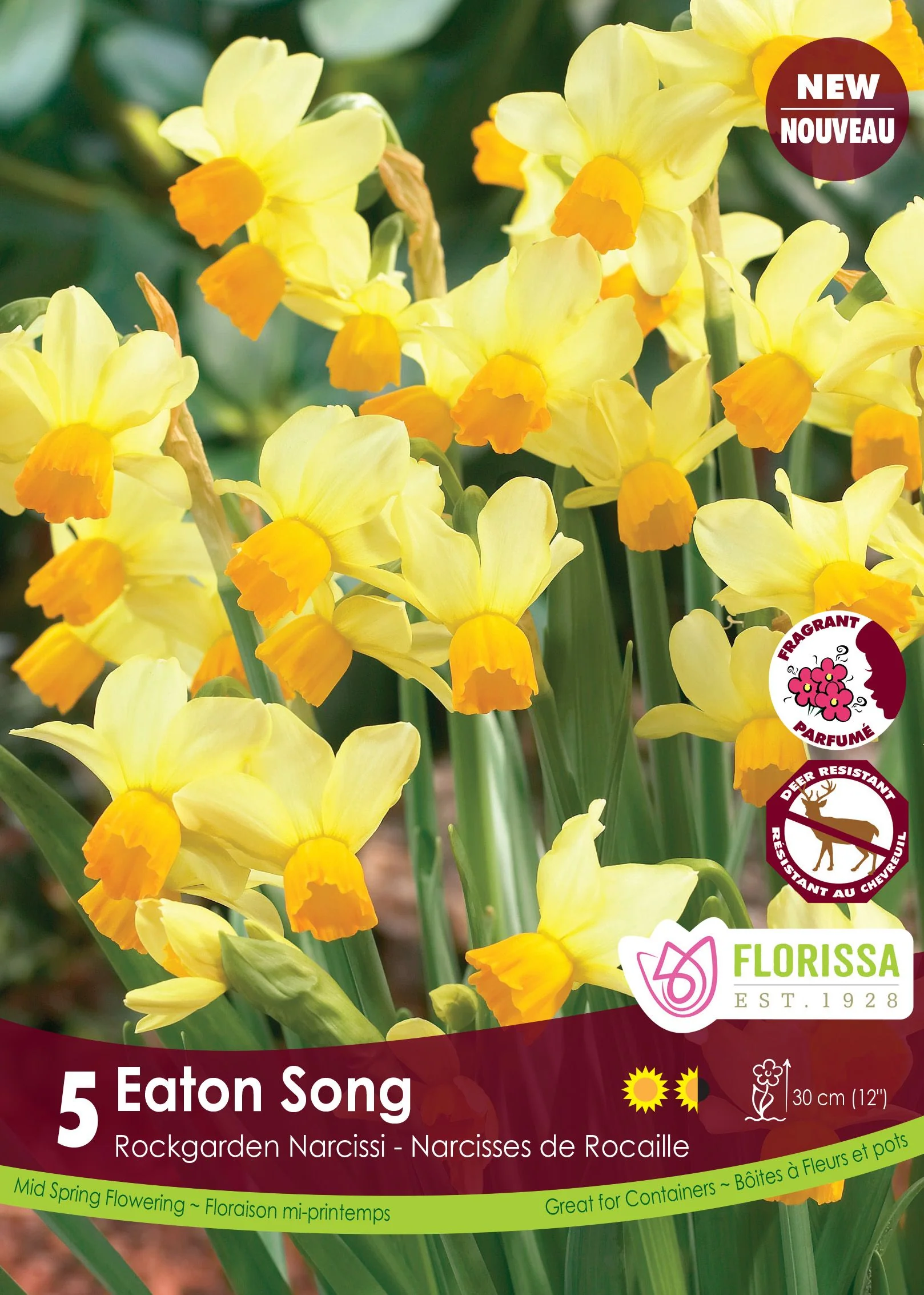 Narcisse Eaton Song