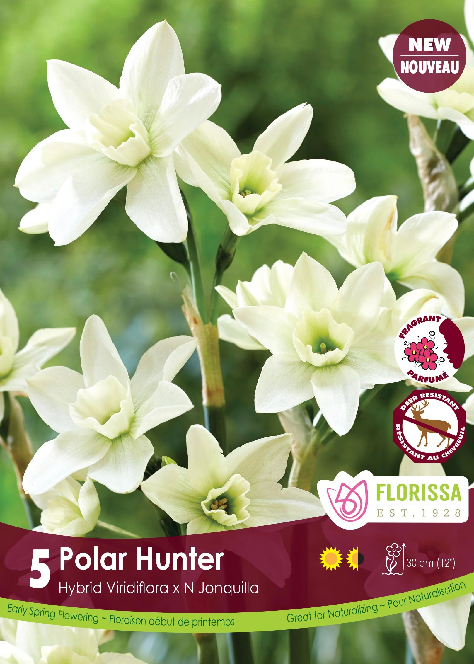 Narcisse Polar Hunter