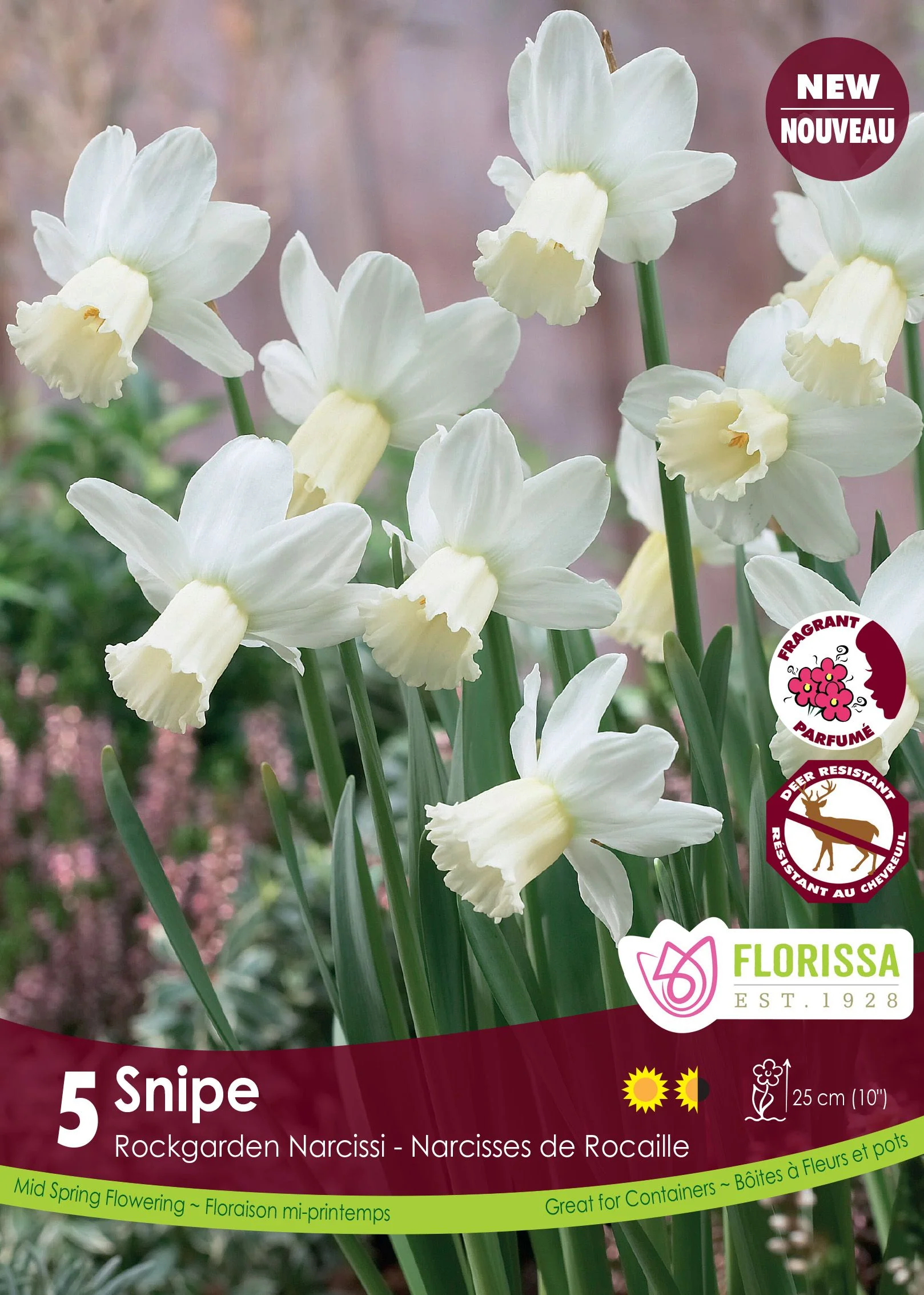 Narcisse Snipe