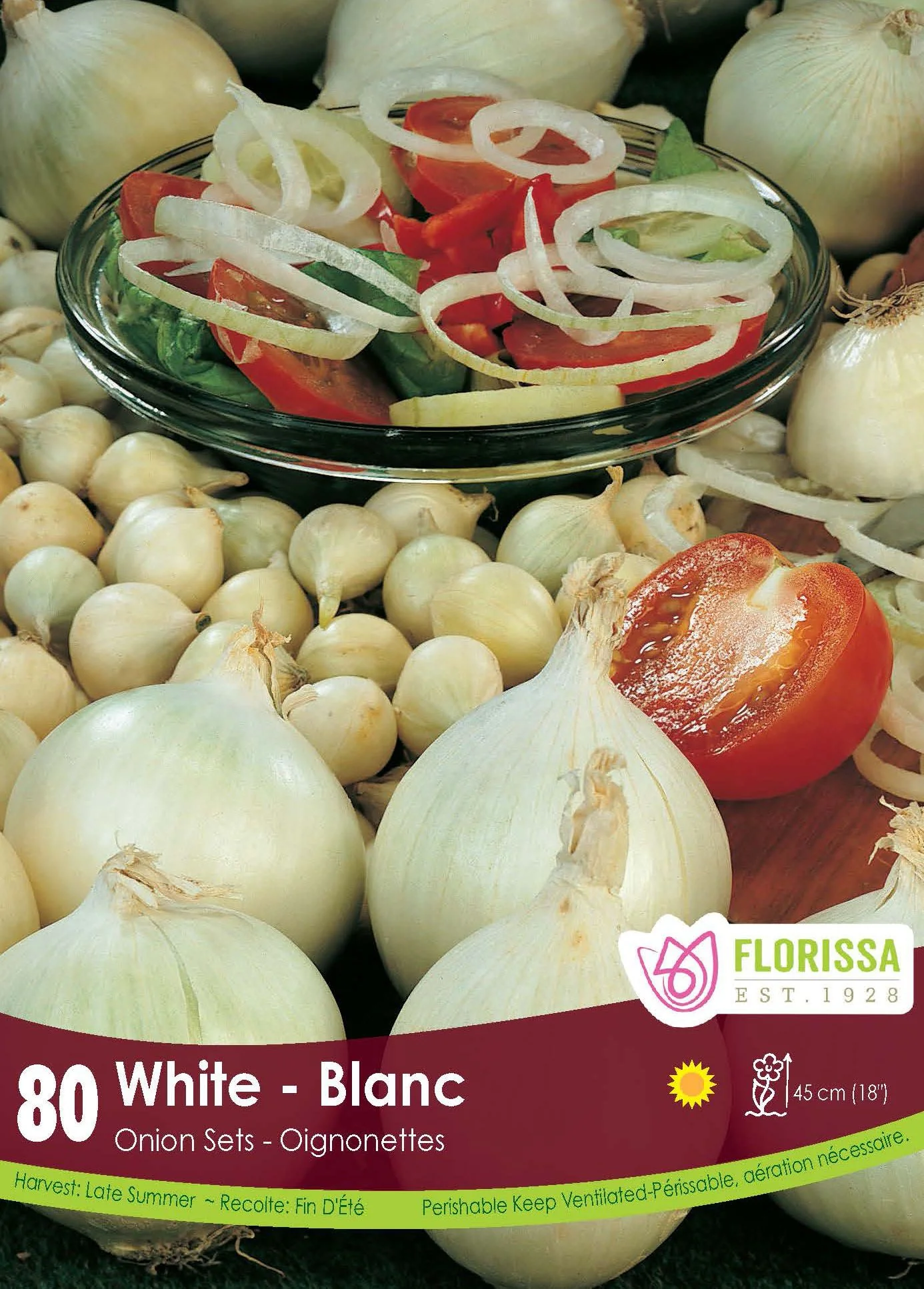 Oignon 'Blanc'