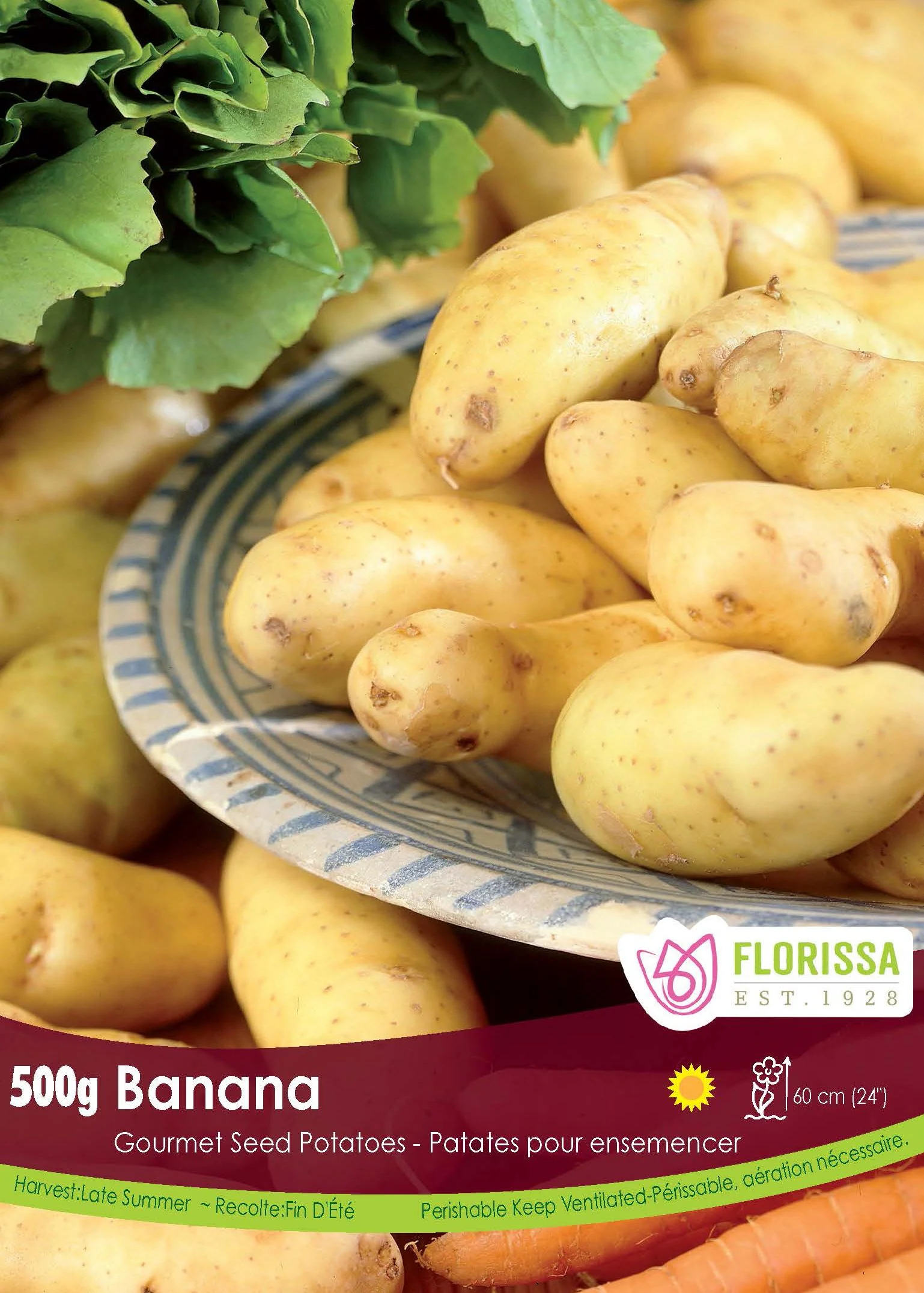 Pomme de terre Gourmet 'Banana'