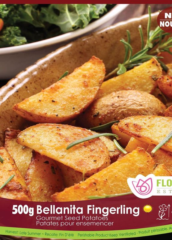 Pomme de terre Gourmet 'Bellanita Fingerling'