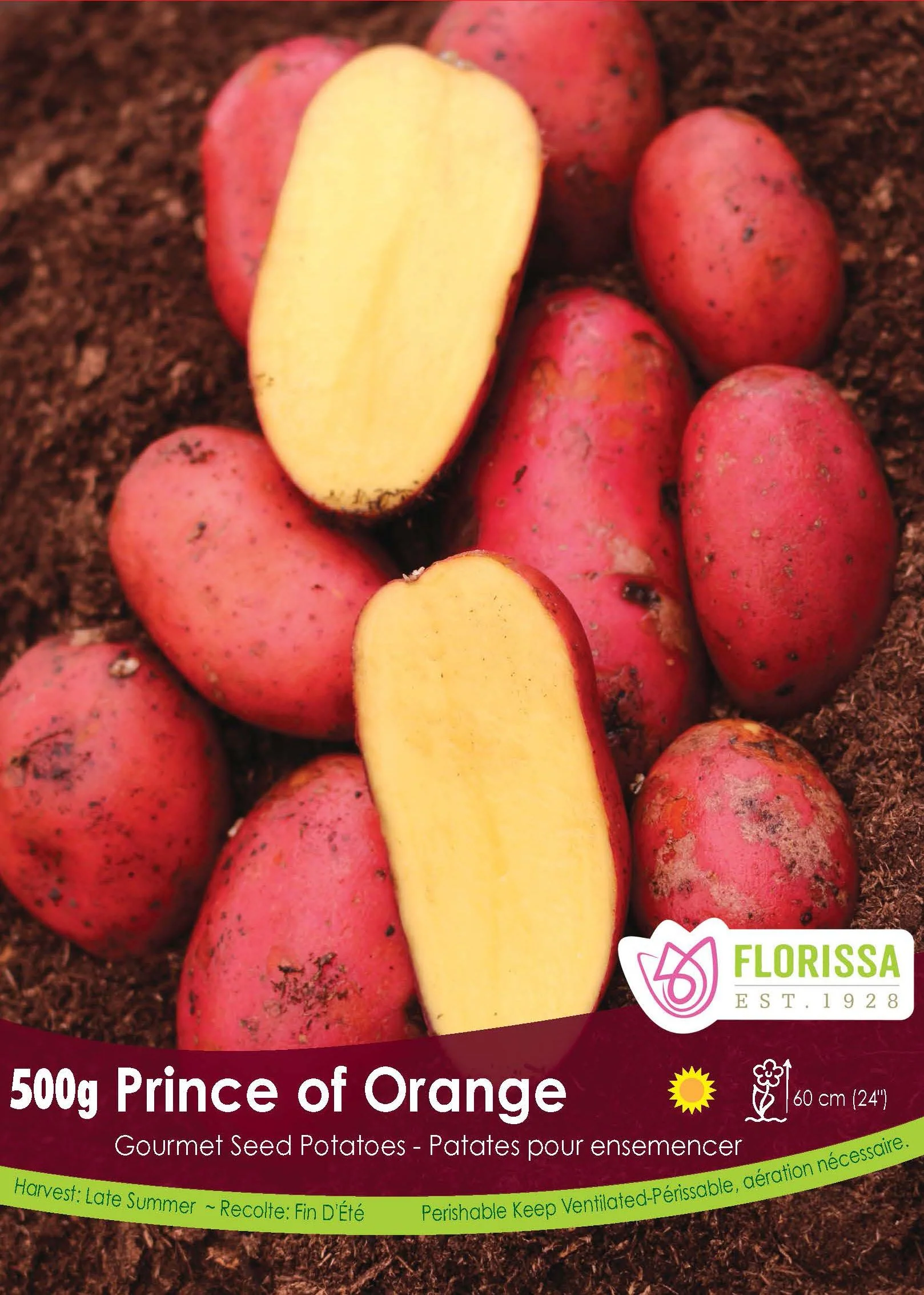 Pomme de terre Gourmet 'Prince of Orange' (500 g)