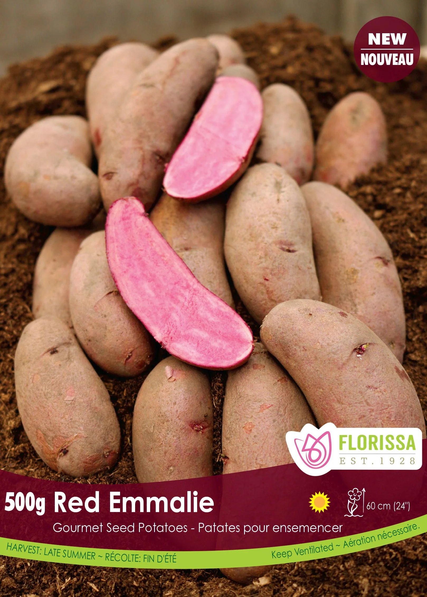 Pomme de terre Gourmet 'Red Emmalie' (500 g)