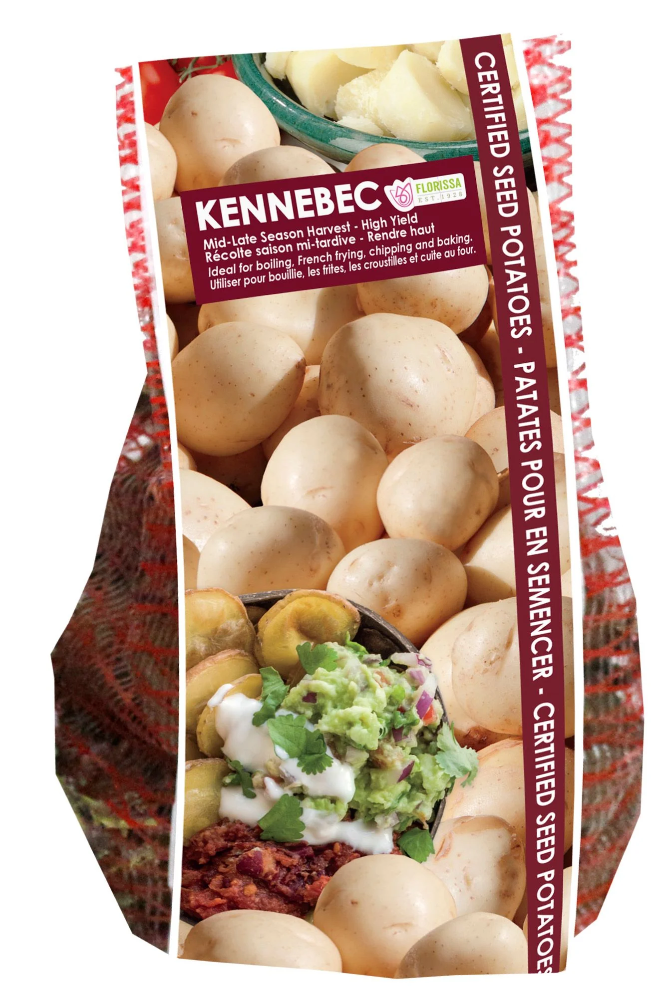 Pomme de terre 'Kennebec'