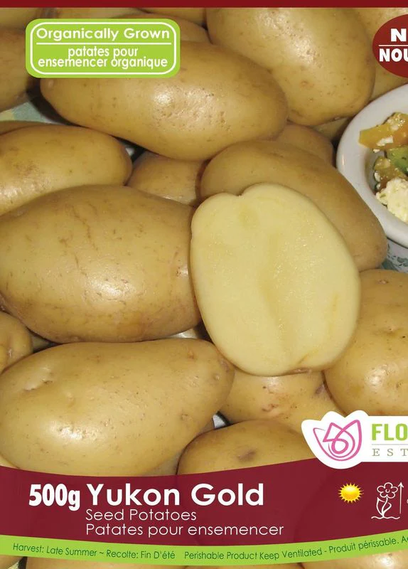 Pomme de terre 'Yukon Gold' BIO (500 g)