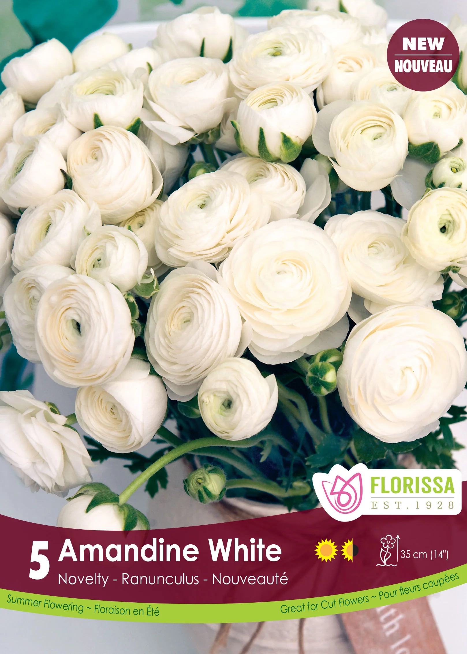 Renoncule 'Amandine White'