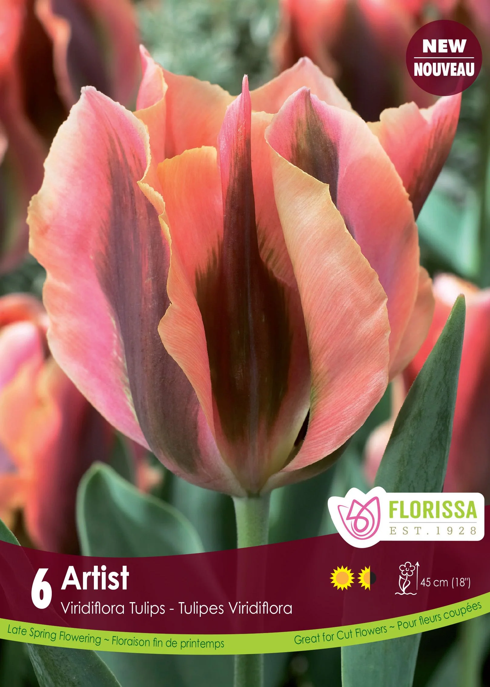 Tulipe Artist