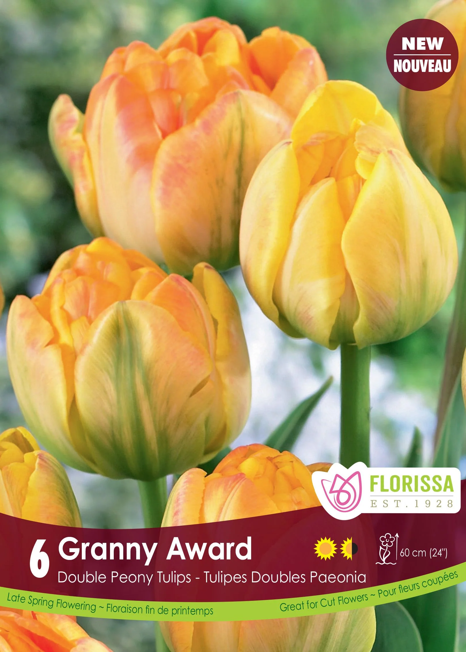 Tulipe Granny Award