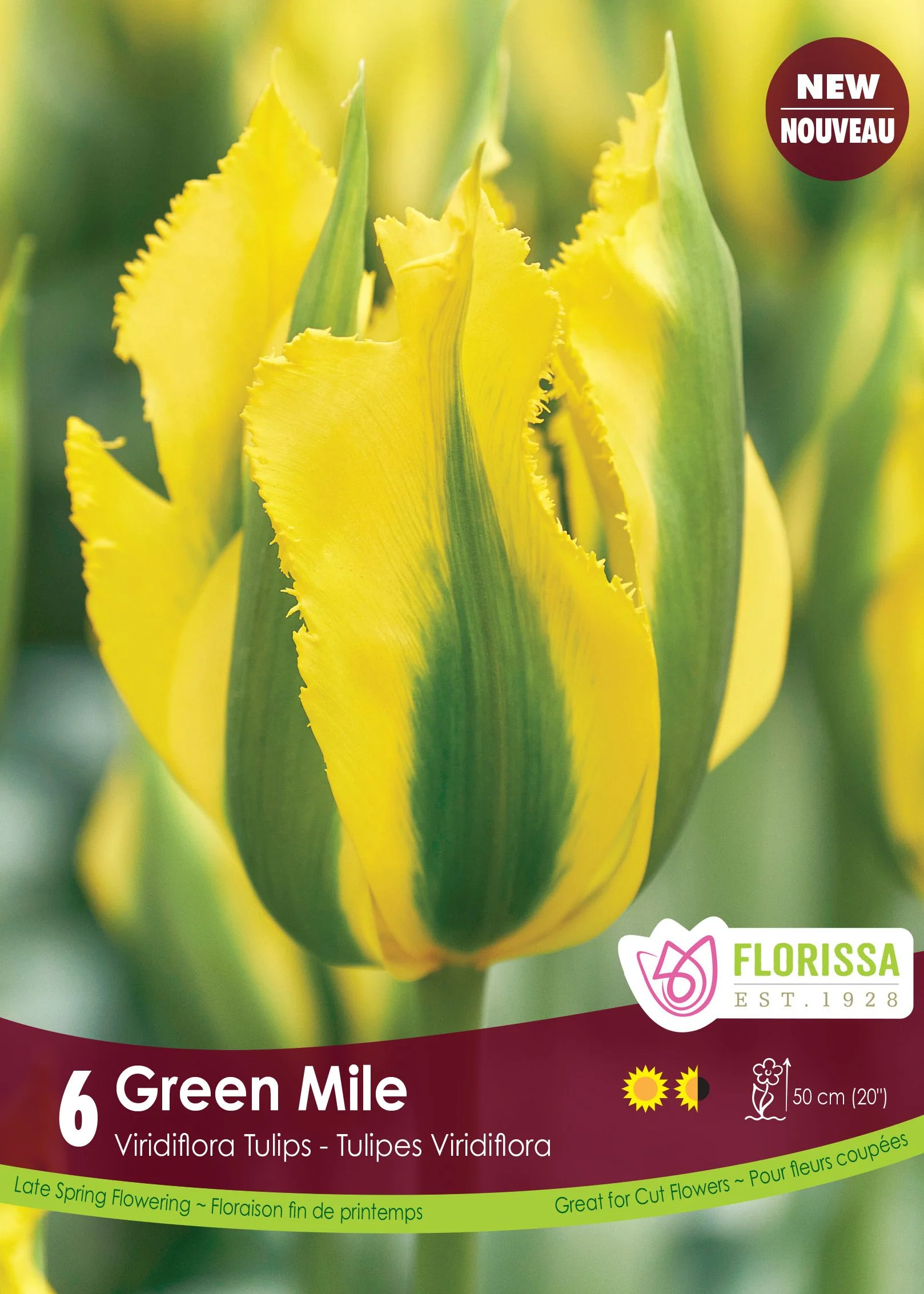 Tulipe Green Mile