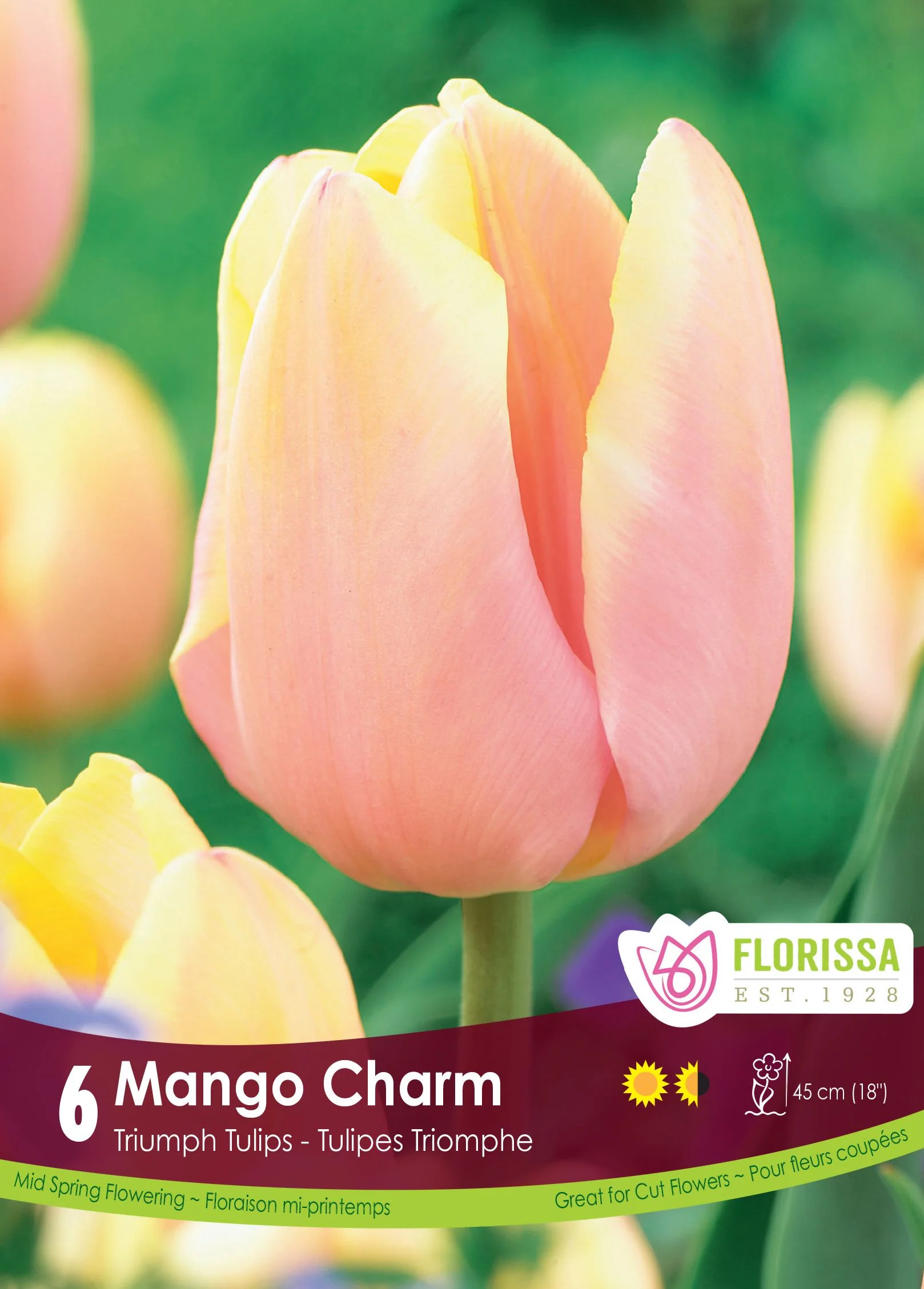 Tulipe Mango Charm