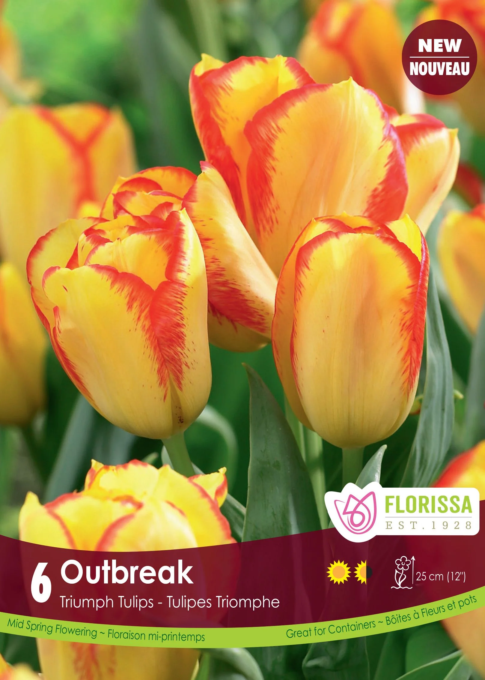Tulipe Outbreak