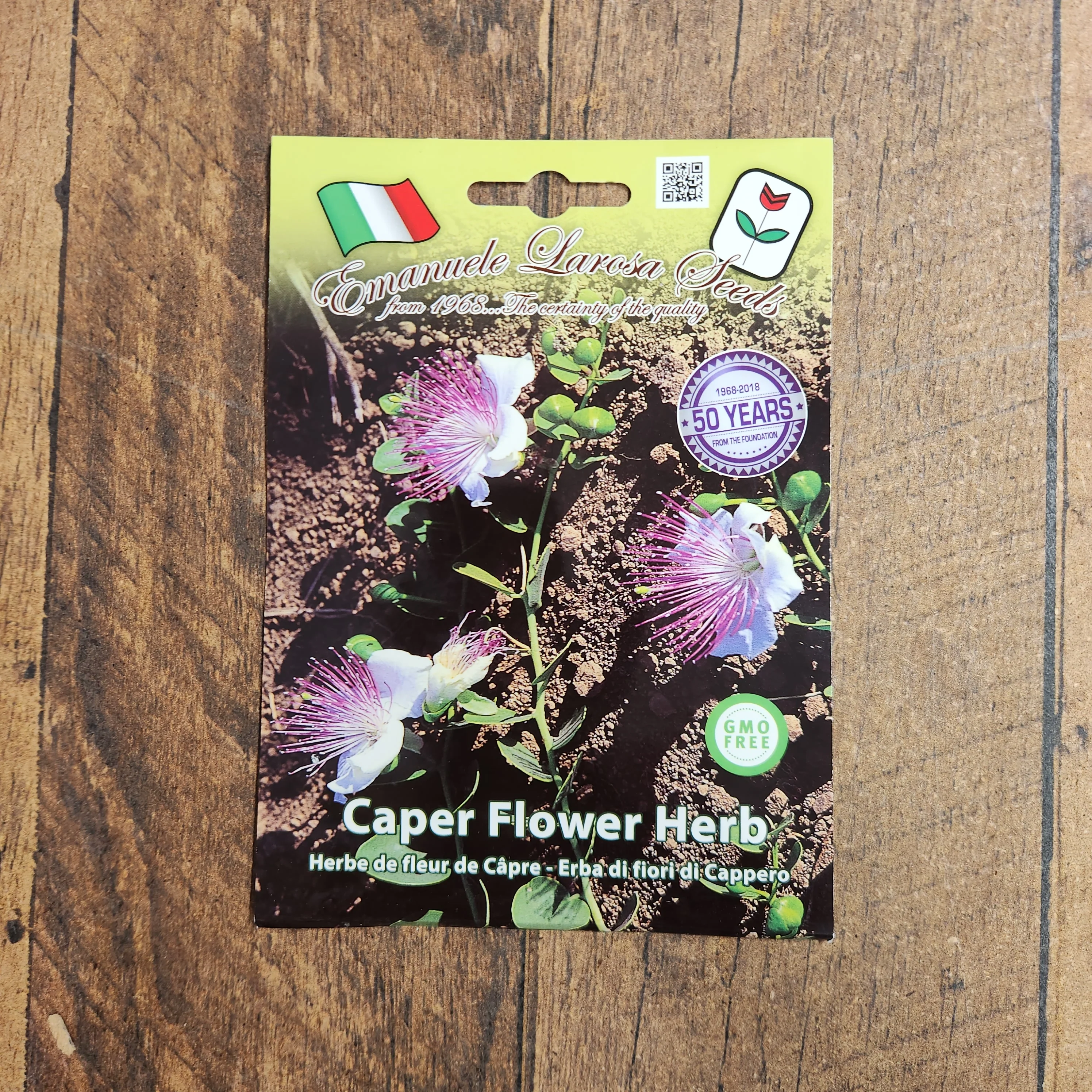 Herbe à fleurs de câpre