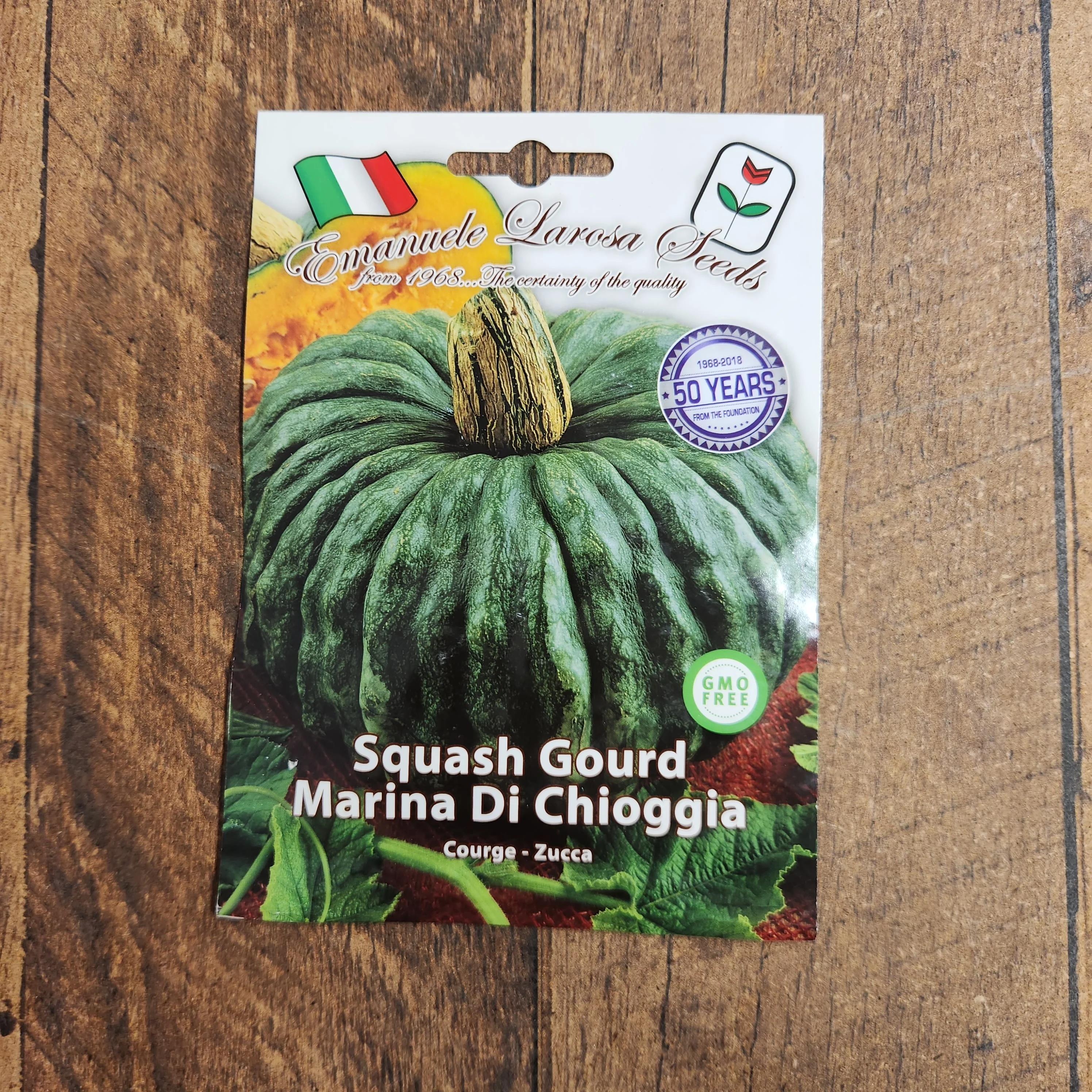 Courge 'Marina di Chioggia' - Image 2